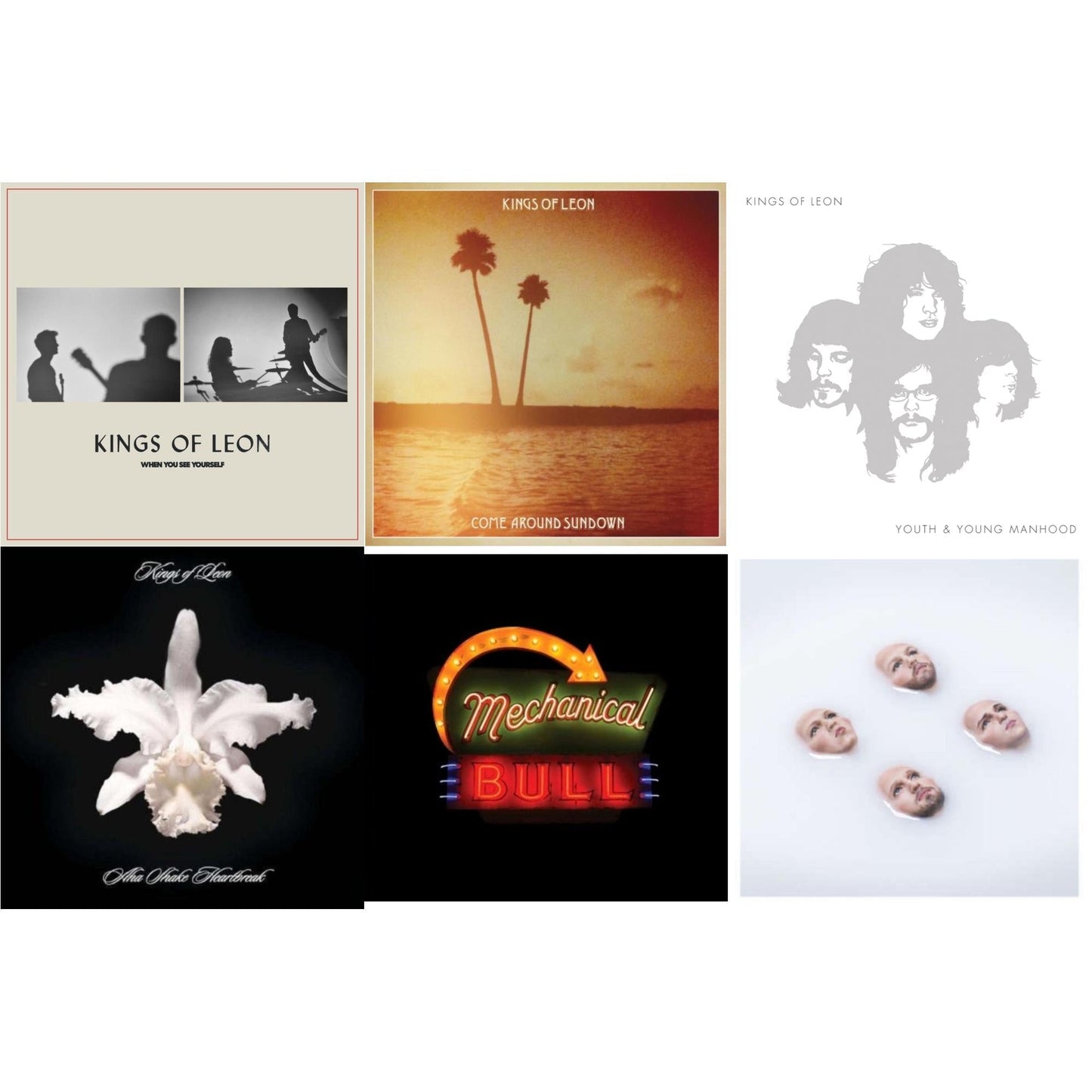 When You See Yourself (2LP/180G) & Come Around Sundown (2LP/Gatefold) & Youth & Young Manhood (2LP/180G/Gatefold) & Aha Shake Heartbreak (2LP/180G/Gatefold) & Mechanical Bull (2LP/180G/Dl Card/Gatefold) & Walls (180G/Gatefold/Dl Card)