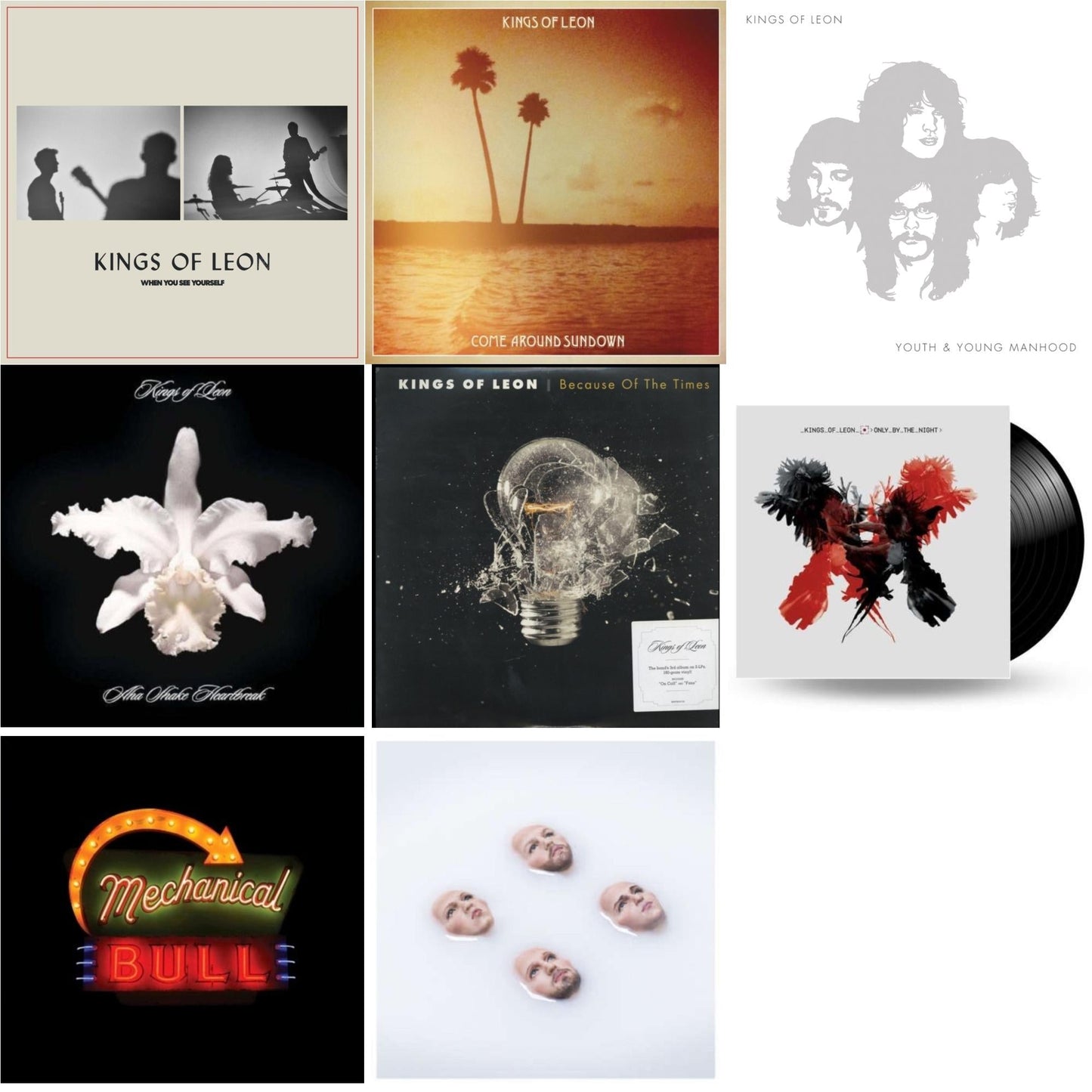 Kings Of Leon - When You See Yourself (2LP/180G) & Come Around Sundown (2LP/Gatefold) & Youth & Young Manhood (2LP/180G/Gatefold) & Aha Shake Heartbreak (2LP/180G/Gatefold) & Because Of The Times (2LP/180G/Gatefold) & Only By The Night & Mechanical
