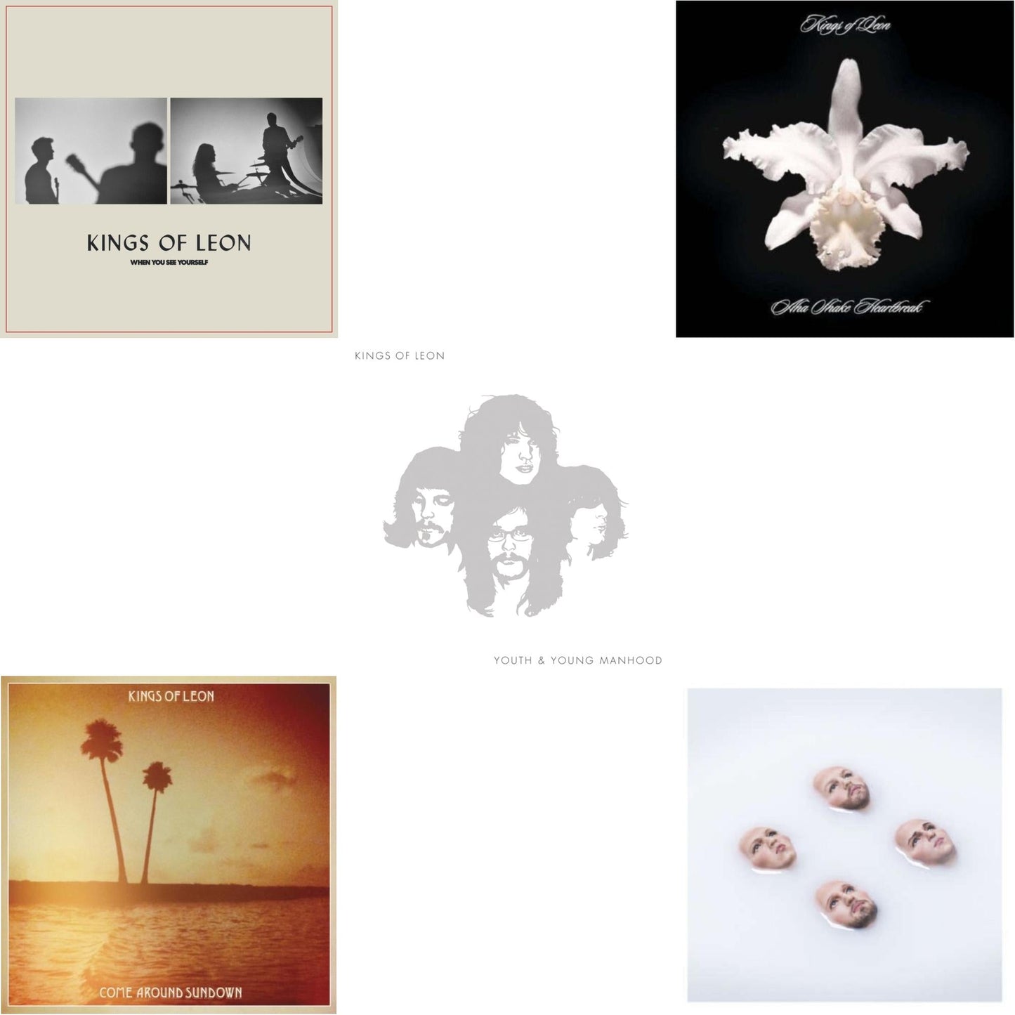 When You See Yourself (2LP/180G) & Come Around Sundown (2LP/Gatefold) & Youth & Young Manhood (2LP/180G/Gatefold) & Aha Shake Heartbreak (2LP/180G/Gatefold) & Walls (180G/Gatefold/Dl Card)