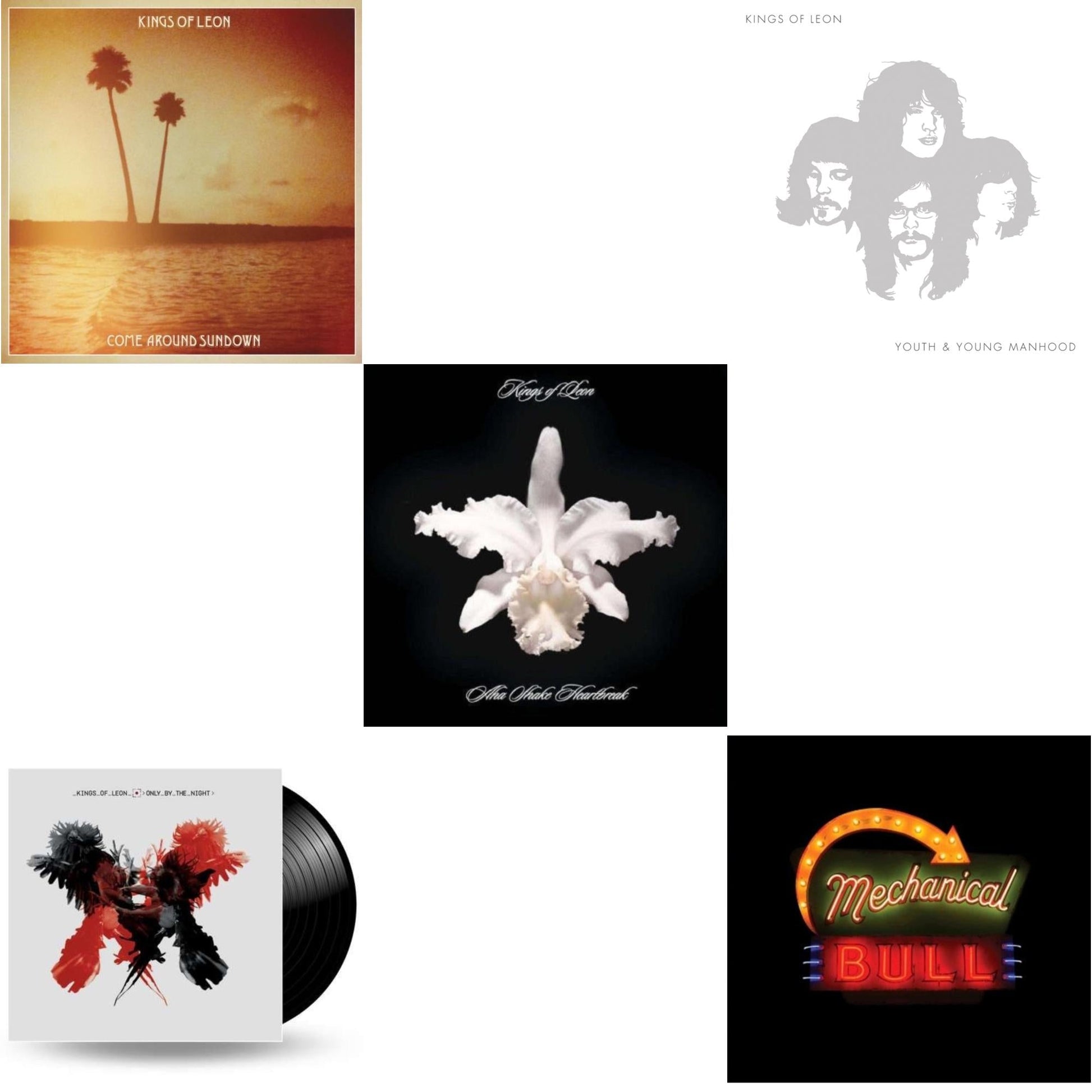 This is a 5 LP Vinyl SKU bundle.
1.This LP Vinyl is brand new.Format: LP VinylMusic Style: Rock & RollThis item's title is: Come Around Sundown (2LP/Gatefold)Artist: Kings Of LeonLabel: LEGACYBarcode: 886976496814Release Date: 10/19/2010
2.This LP Vinyl is brand new.