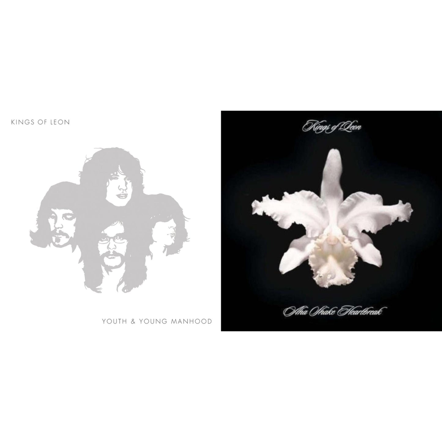 Youth & Young Manhood (2LP/180G/Gatefold) & Aha Shake Heartbreak (2LP/180G/Gatefold)