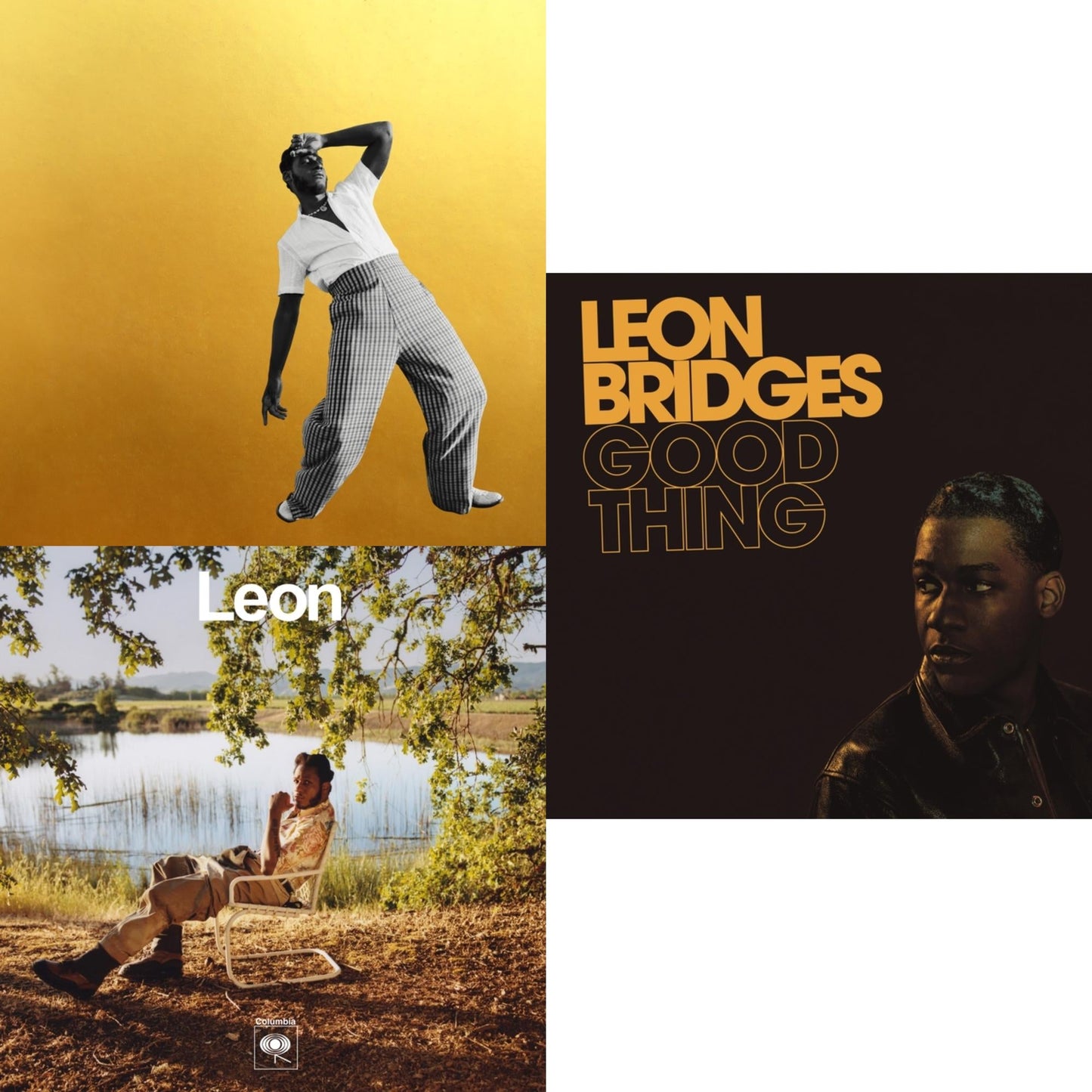 Good Thing (180G/Dl Code) & Gold-Diggers Sound & Leon