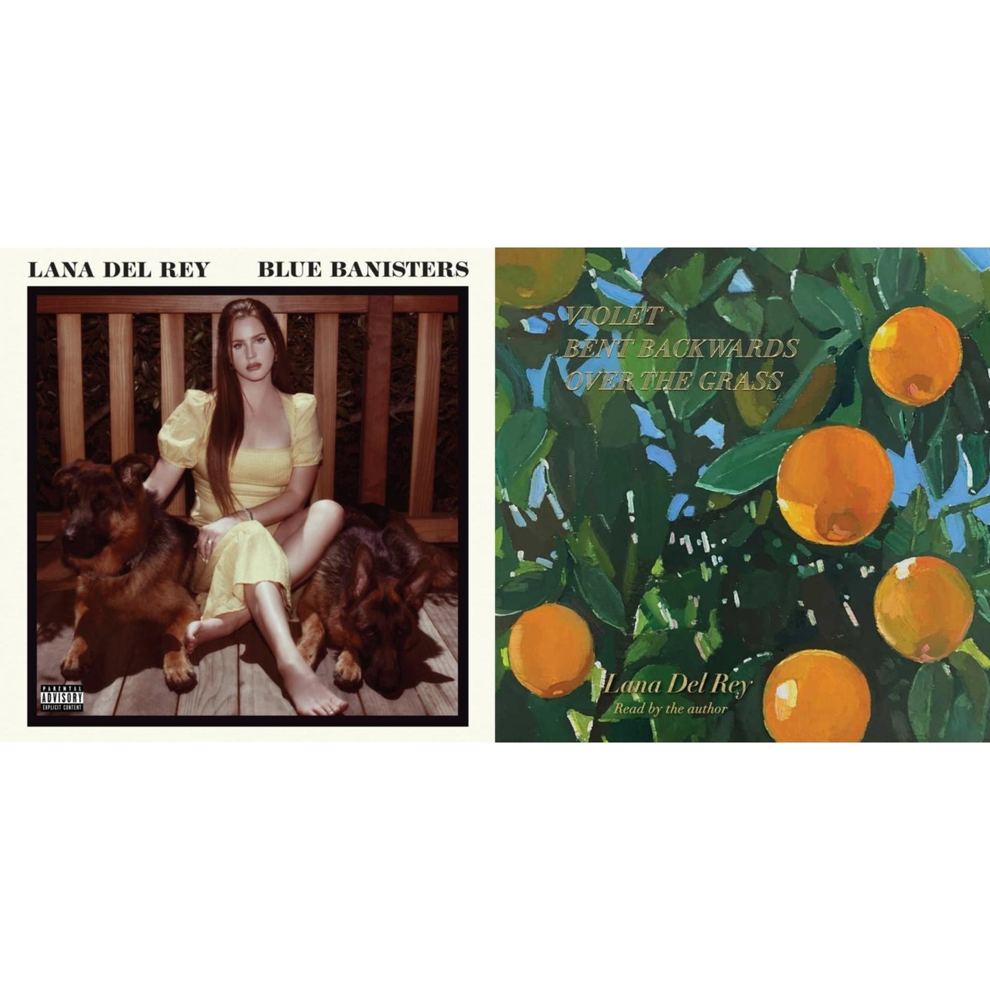 Blue Banisters (2LP) & Violet Bent Backwards Over The Grass (180G)