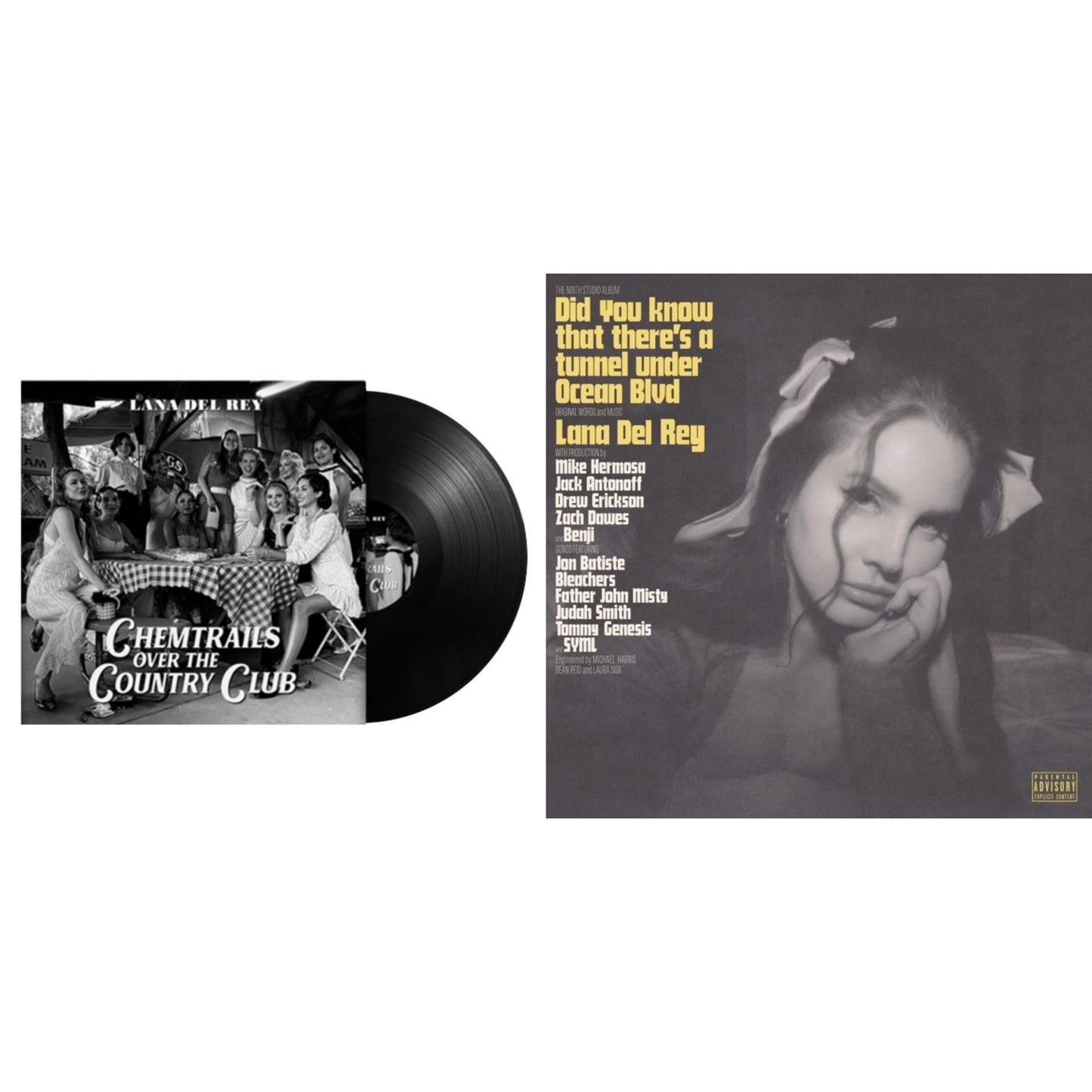 Chemtrails Over The Country Club & Did You Know That There’S A Tunnel Under Ocean Blvd (X) (2LP/180G)