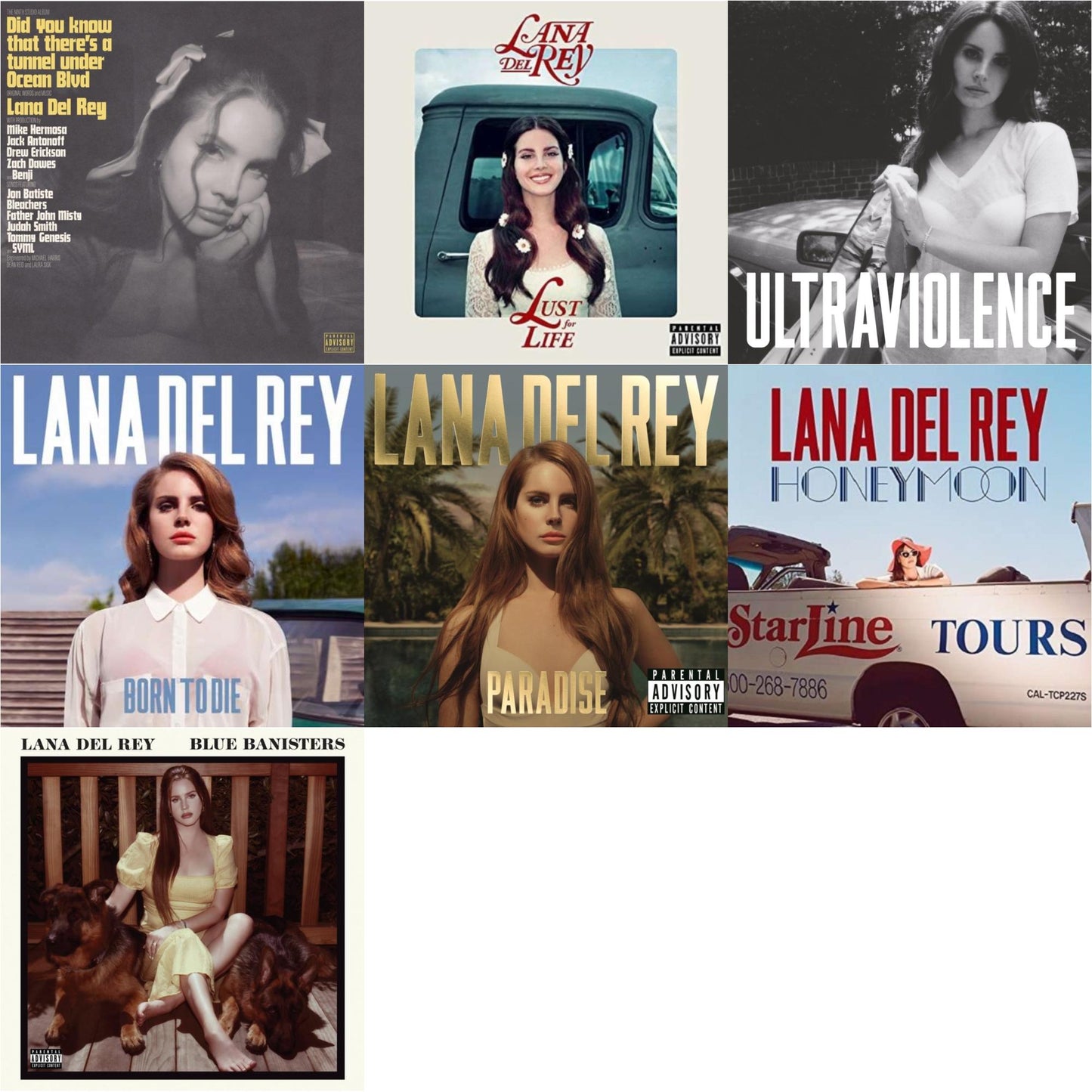 Blue Banisters (2LP) & Did You Know That There’S A Tunnel Under Ocean Blvd (X) (2LP/180G) & Born To Die & Paradise & Ultraviolence & Honeymoon & Lust For Life