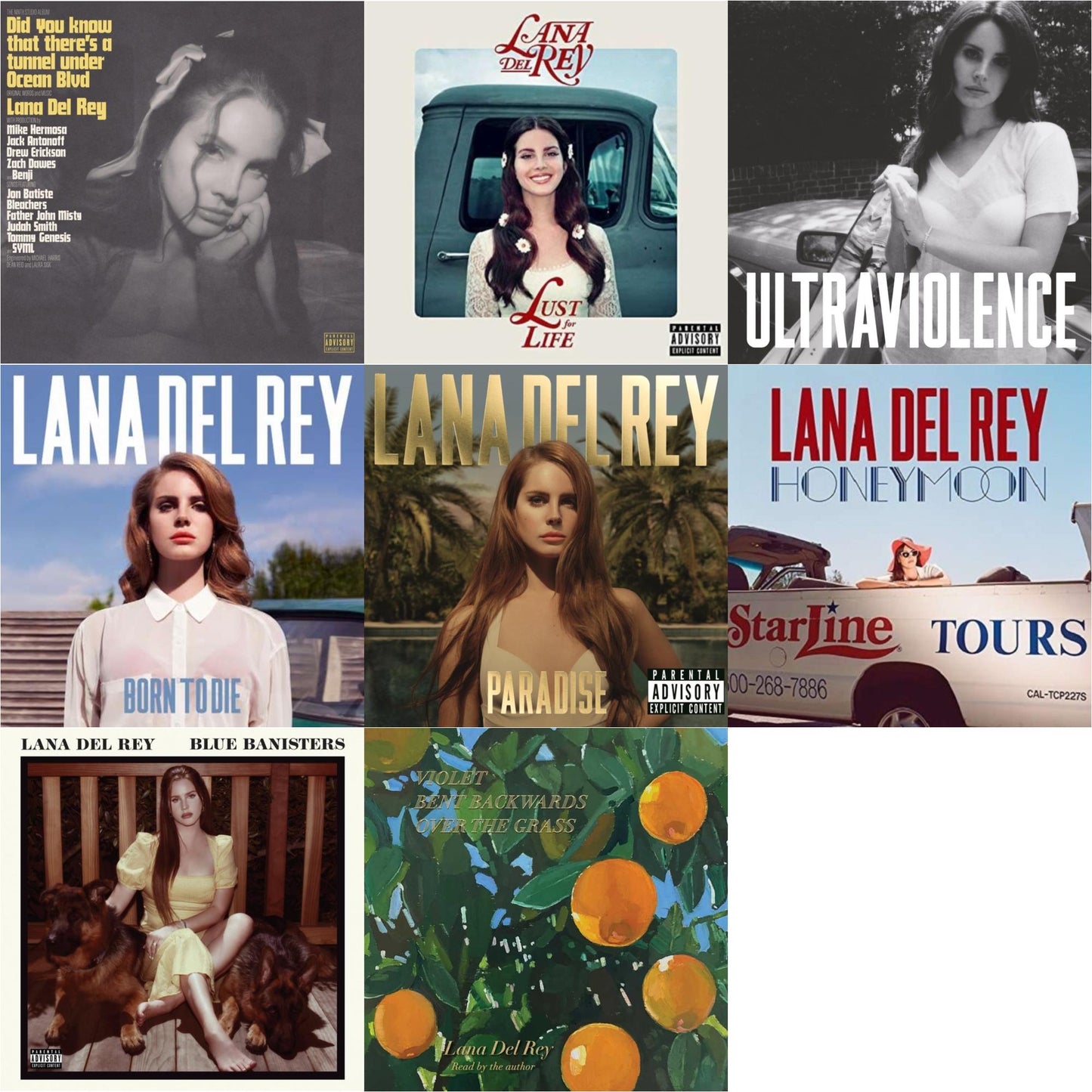 Blue Banisters (2LP) & Did You Know That There’S A Tunnel Under Ocean Blvd (X) (2LP/180G) & Violet Bent Backwards Over The Grass (180G) & Born To Die & Paradise & Ultraviolence & Honeymoon & Lust For Life