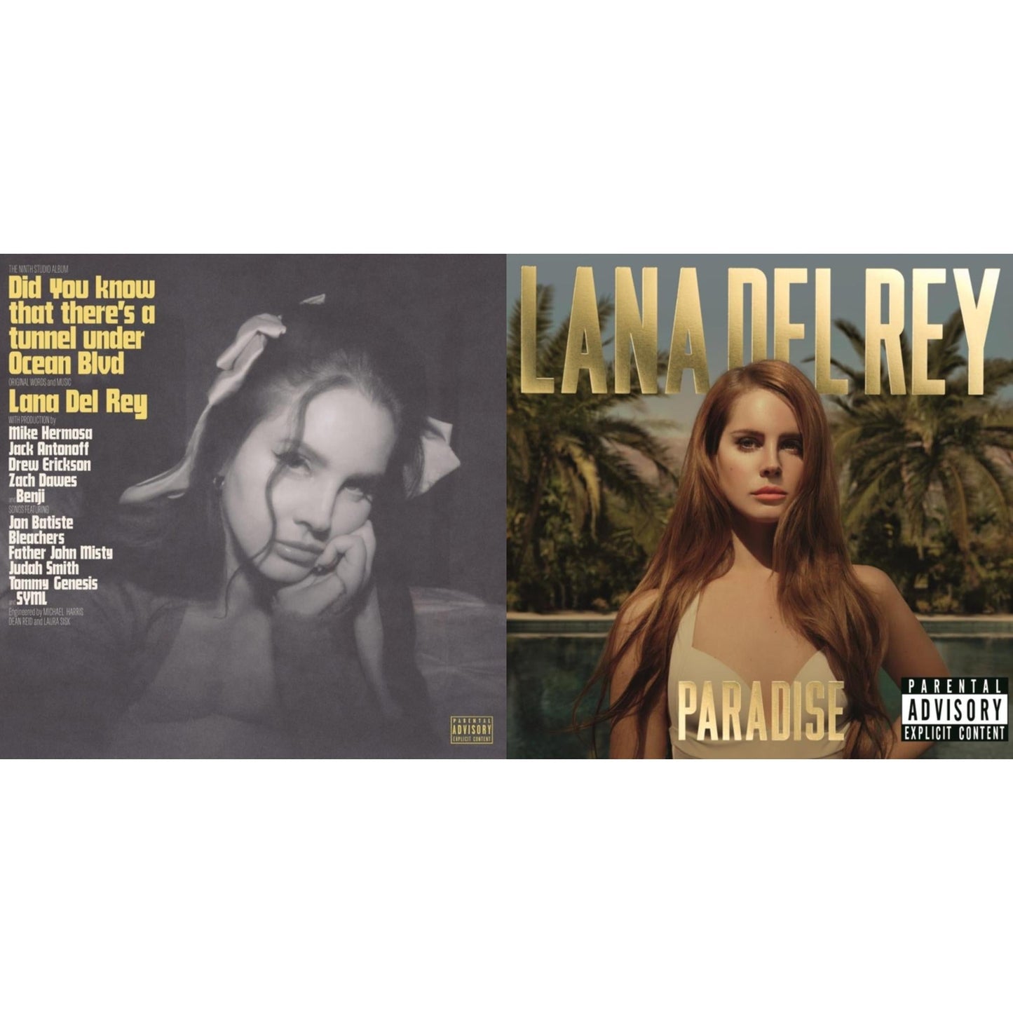 Did You Know That There’S A Tunnel Under Ocean Blvd (X) (2LP/180G) & Paradise