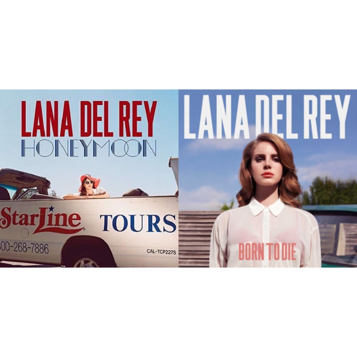 This is a 2 LP Vinyl SKU bundle.
1.This LP Vinyl is brand new.Format: LP VinylMusic Style: Dream PopThis item's title is: Born To DieArtist: Lana Del ReyLabel: INTERSCOPEBarcode: 602527950891Release Date: 2/21/2012
2.This LP Vinyl is brand new.