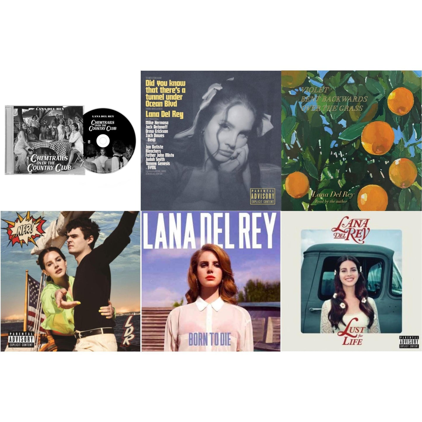 Chemtrails Over The Country Club & Did You Know That There’S A Tunnel Under Ocean Blvd (X) & Violet Bent Backwards Over The Grass & Nfr! & Born To Die & Lust For Life