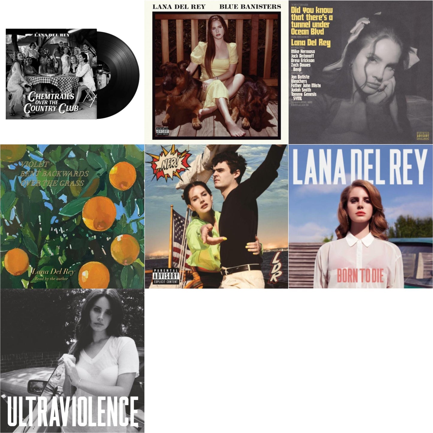 Chemtrails Over The Country Club & Blue Banisters (2LP) & Did You Know That There’S A Tunnel Under Ocean Blvd (X) (2LP/180G) & Violet Bent Backwards Over The Grass (180G) & Nfr! (2LP) & Born To Die & Ultraviolence