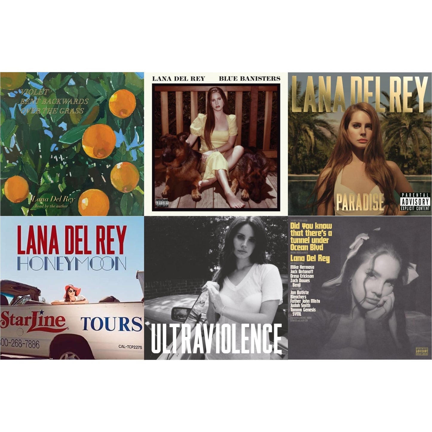 Blue Banisters (2LP) & Did You Know That There’S A Tunnel Under Ocean Blvd (X) (2LP/180G) & Violet Bent Backwards Over The Grass (180G) & Paradise & Ultraviolence & Honeymoon