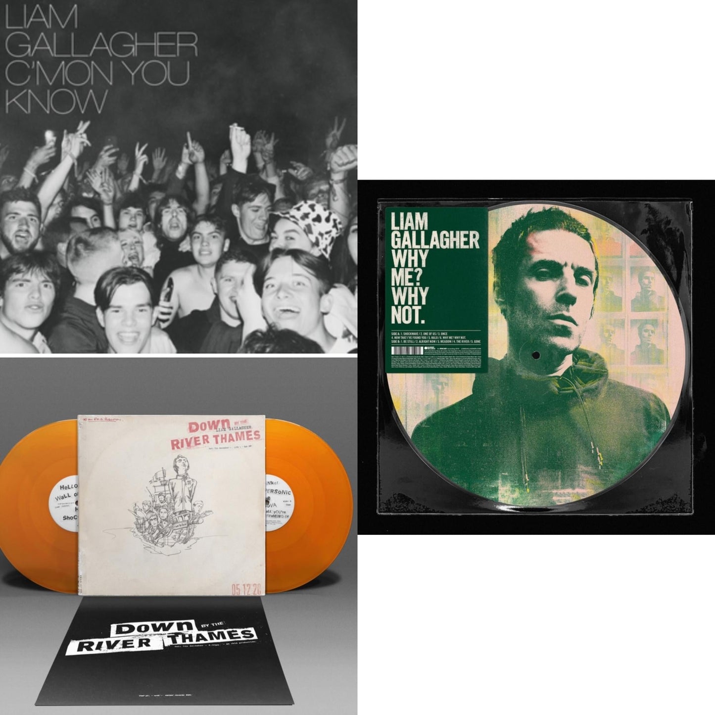 This is a 3 LP Vinyl SKU bundle.
1.This LP Vinyl is brand new.Format: LP VinylMusic Style: Euro HouseThis item's title is: C'mon You KnowArtist: Liam GallagherLabel: WARNER BROS.Barcode: 190296423932Release Date: 5/27/2022
2.This LP Vinyl is brand new.