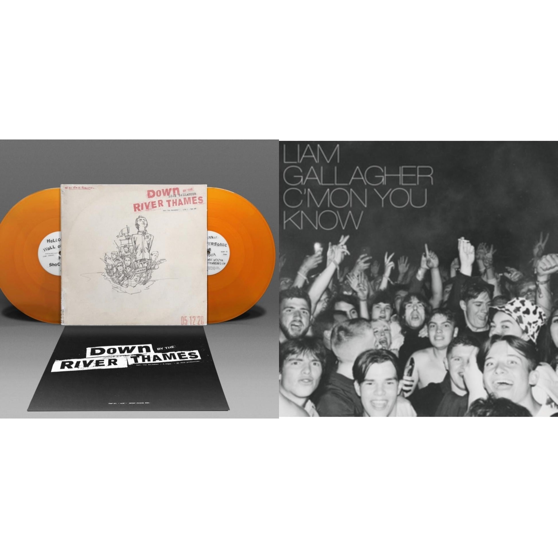 This is a 2 LP Vinyl SKU bundle.
1.This LP Vinyl is brand new.Format: LP VinylMusic Style: BritpopThis item's title is: Down By The River Thames (2LP/Orange Vinyl)Artist: Liam GallagherLabel: WARNER RECORDSBarcode: 190296739415Release Date: 5/27/2022
2.This LP Vinyl is brand new.