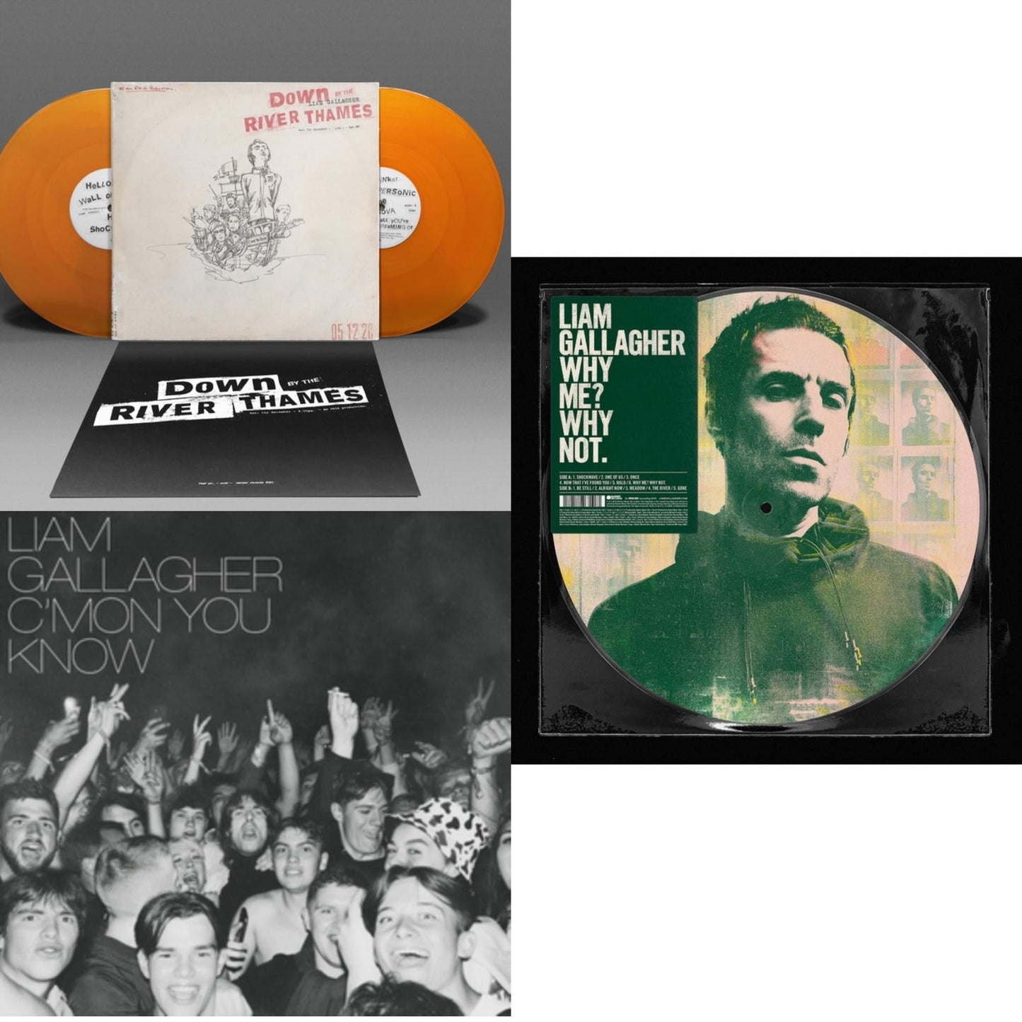 This is a 3 LP Vinyl SKU bundle.
1.This LP Vinyl is brand new.Format: LP VinylMusic Style: BritpopThis item's title is: Down By The River Thames (2LP/Orange Vinyl)Artist: Liam GallagherLabel: WARNER RECORDSBarcode: 190296739415Release Date: 5/27/2022
2.This LP Vinyl is brand new.
