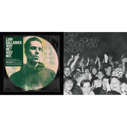 This is a 2 LP Vinyl SKU bundle.
1.This LP Vinyl is brand new.Format: LP VinylThis item's title is: Why Me? Why Not (Picutre Disc)Artist: Liam GallagherLabel: WARNER RECORDSBarcode: 190295408404Release Date: 11/29/2019
2.This LP Vinyl is brand new.
