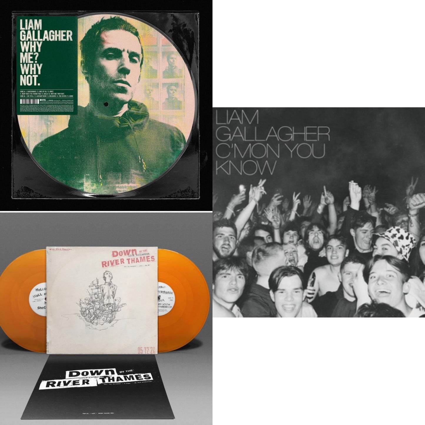 This is a 3 LP Vinyl SKU bundle.
1.This LP Vinyl is brand new.Format: LP VinylThis item's title is: Why Me? Why Not (Picutre Disc)Artist: Liam GallagherLabel: WARNER RECORDSBarcode: 190295408404Release Date: 11/29/2019
2.This LP Vinyl is brand new.
