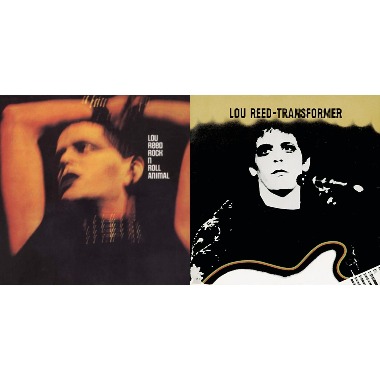 Rock & Roll Animal & Transformer