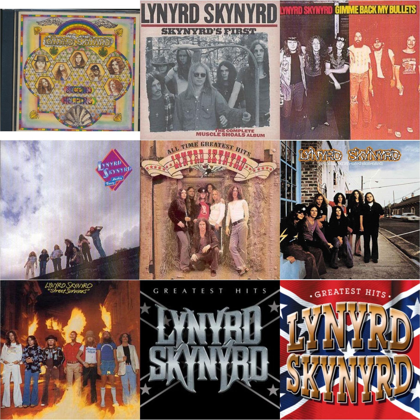 Second Helping & Skynyrd's First & Gimme Back My Bullets & Nuthin Fancy & All Time Greatest Hits & Pronounced Leh Nerd Skin Nerd & Street Survivors & Greatest Hits & Greatest Hits