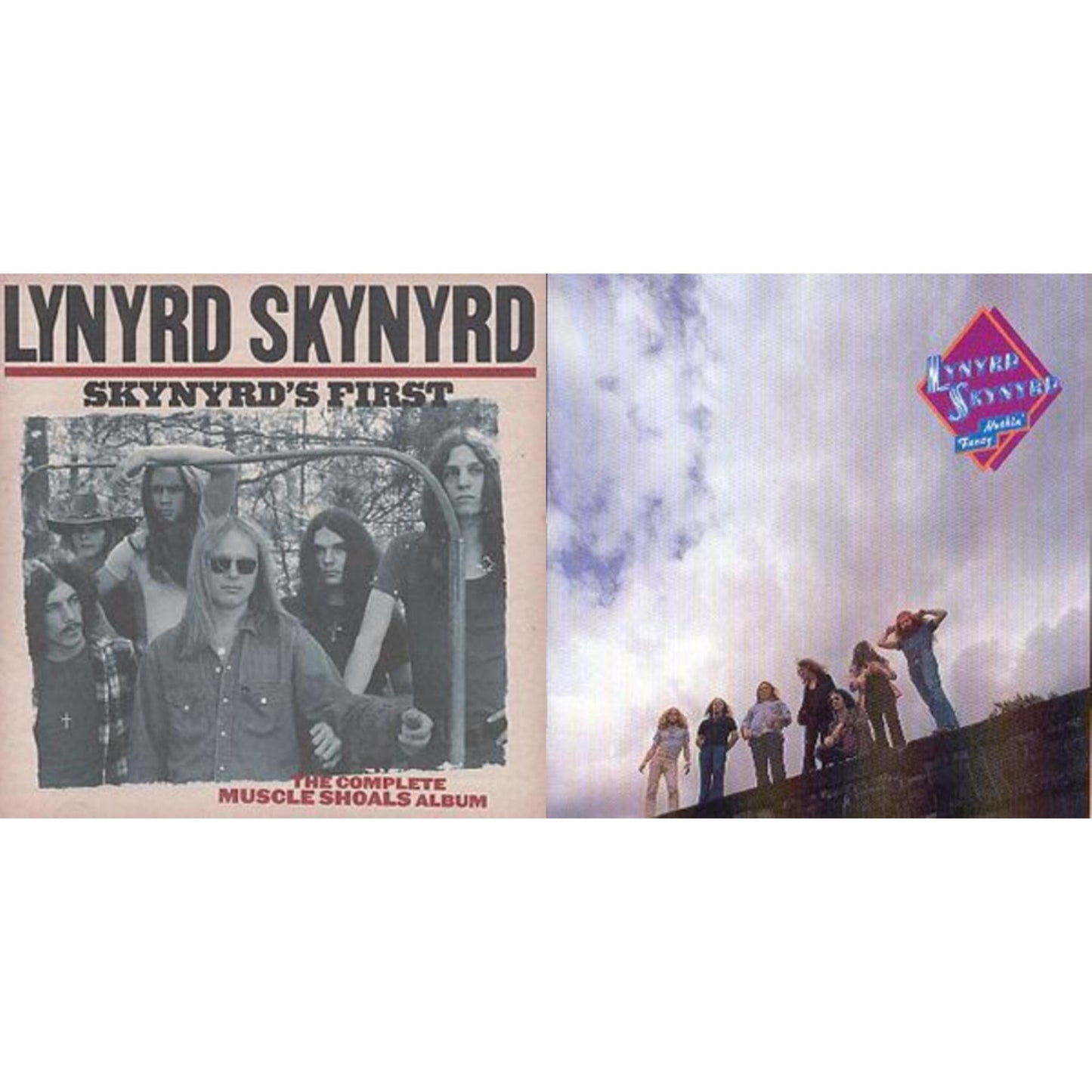 Skynyrd's First & Nuthin Fancy