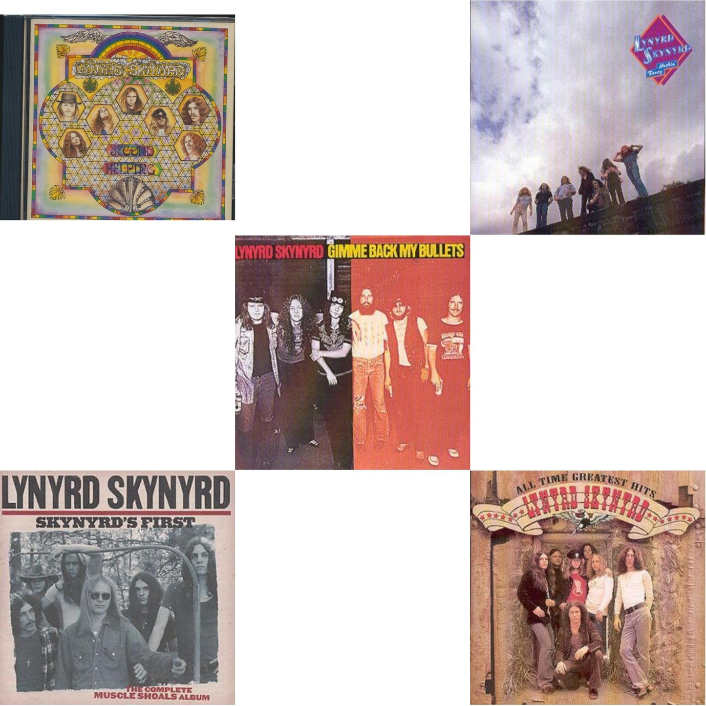 Second Helping & Skynyrd's First & Gimme Back My Bullets & Nuthin Fancy & All Time Greatest Hits