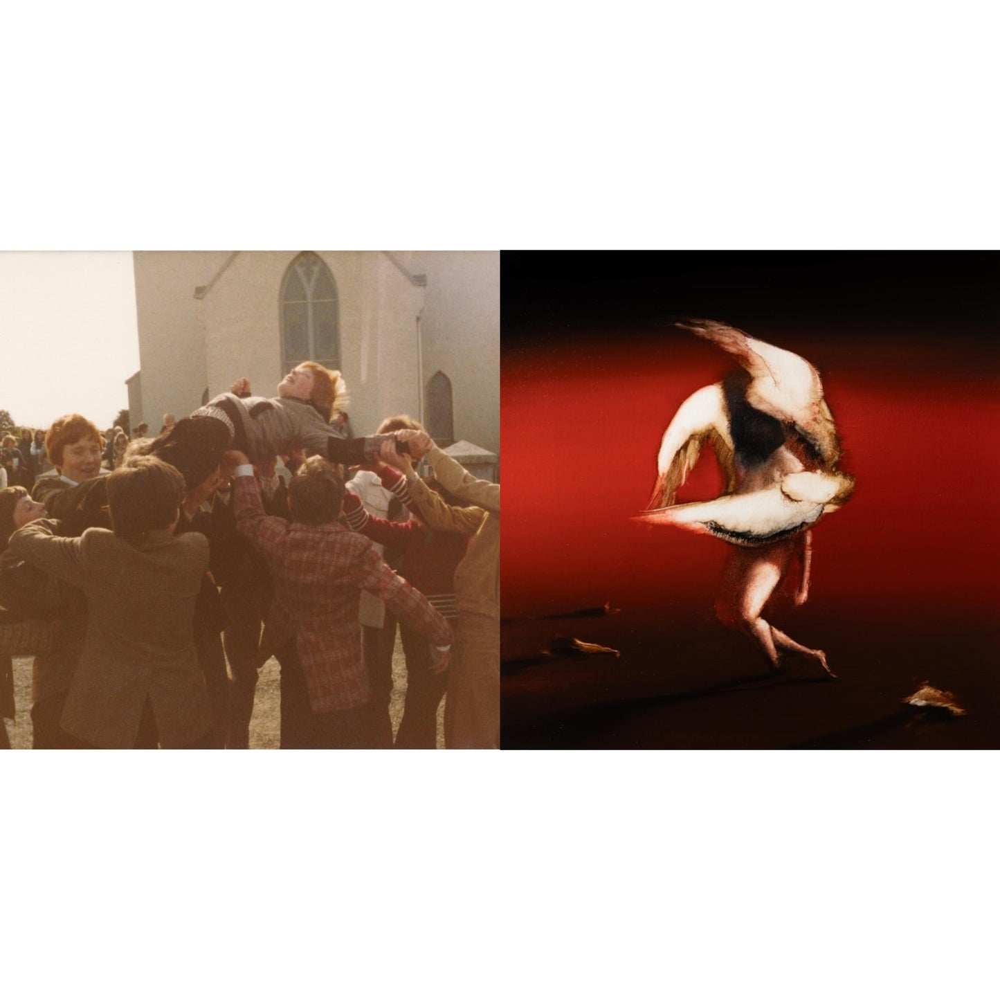 Tir Na Nog & Pain To Power