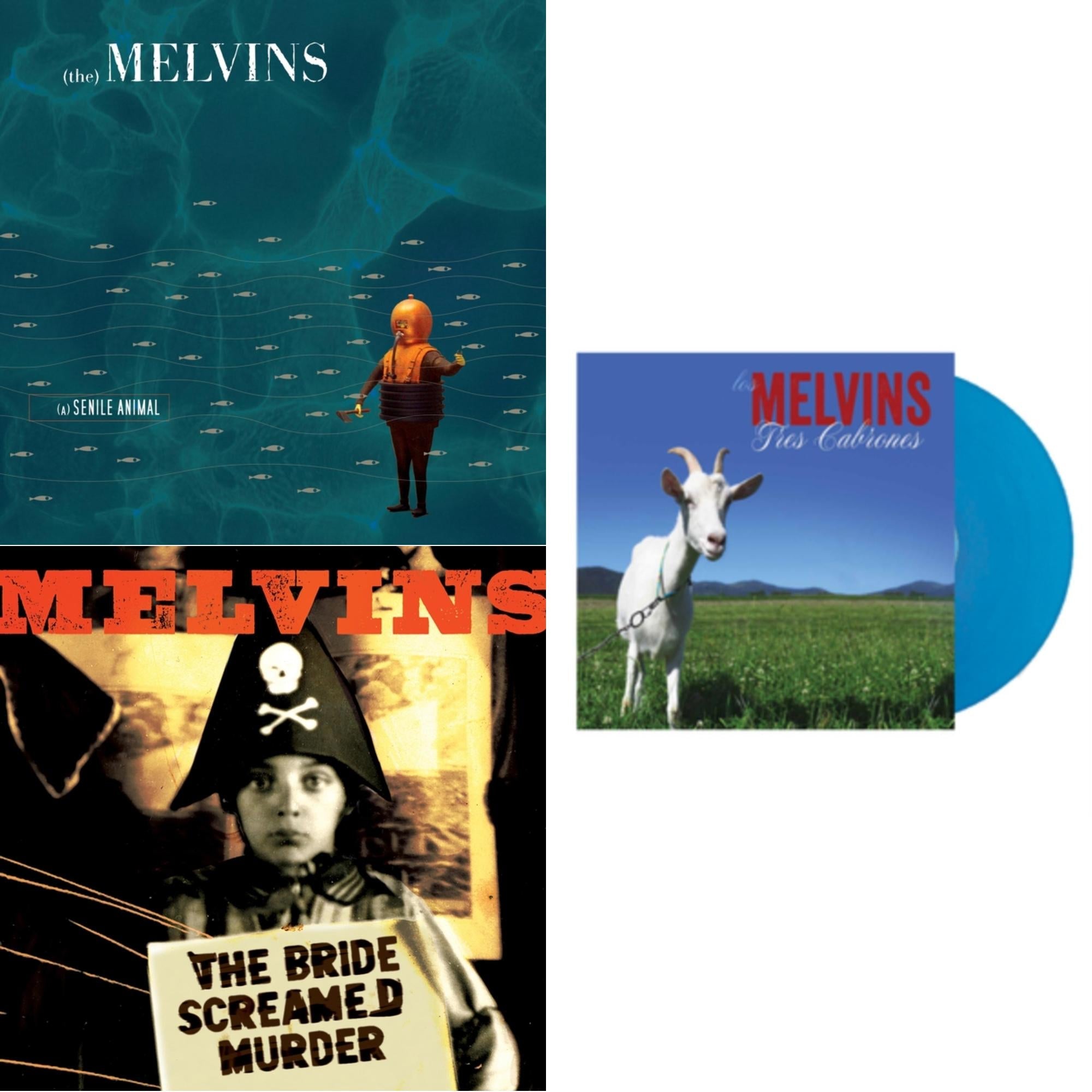 Melvins - Senile Animal Sea Blue LP Vinyl & Bride Screamed – Weekly Hype