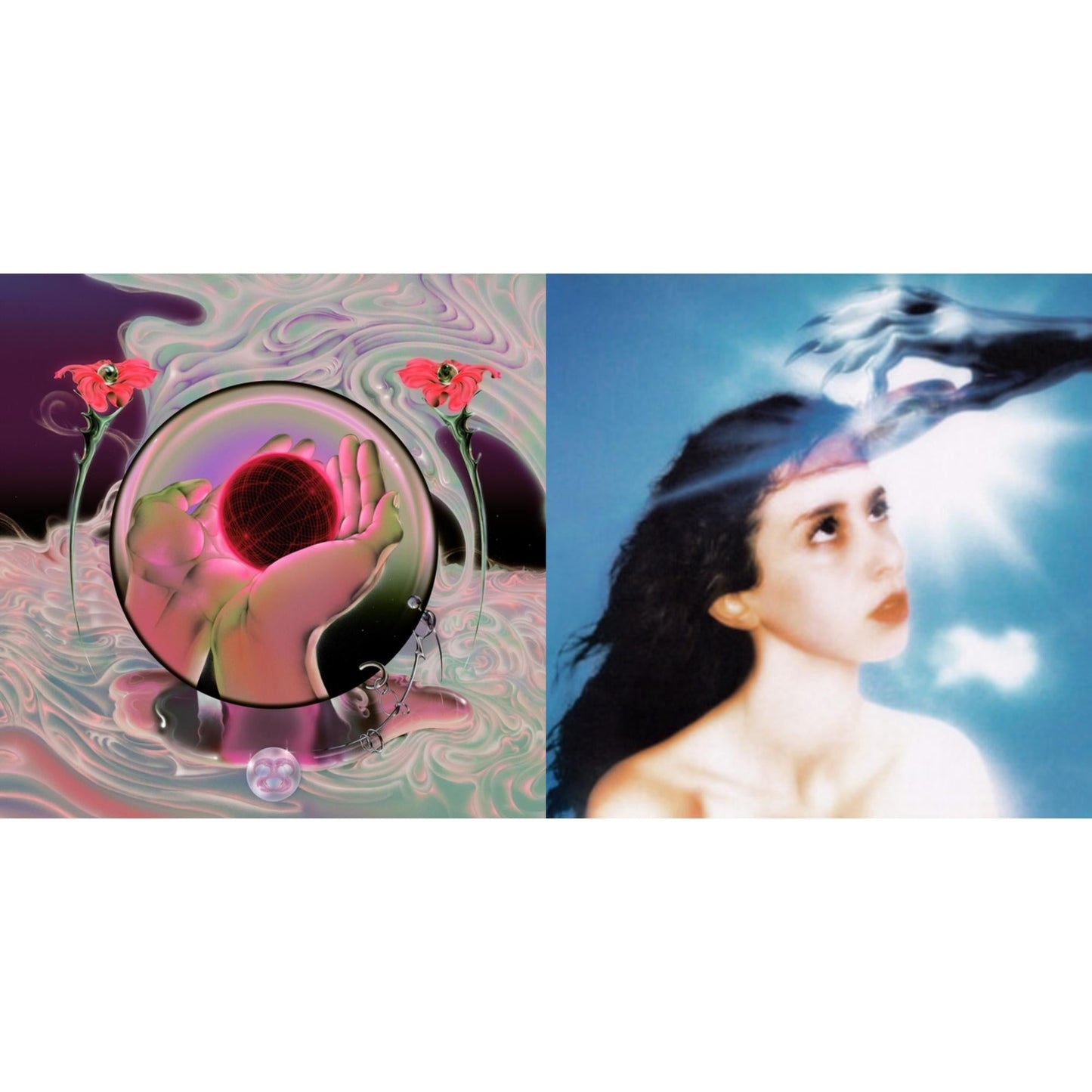 Mercurial World & Imaginal Disk