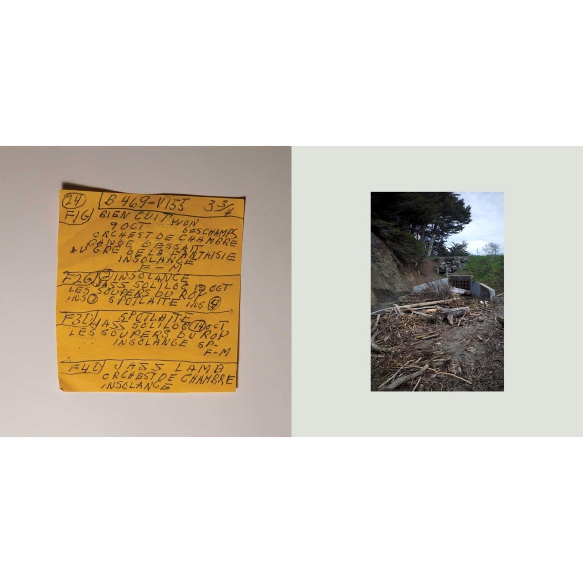 This is a 2 LP Vinyl SKU bundle.
1.This LP Vinyl is brand new.Format: LP VinylMusic Style: Indie RockThis item's title is: Here Comes The Cowboy DemosArtist: Mac DemarcoLabel: CAROLINEBarcode: 842812122330Release Date: 8/28/2020
2.This LP Vinyl is brand new.