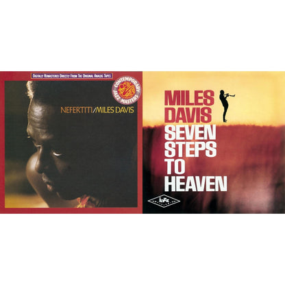 Nefertiti & Seven Steps To Heaven