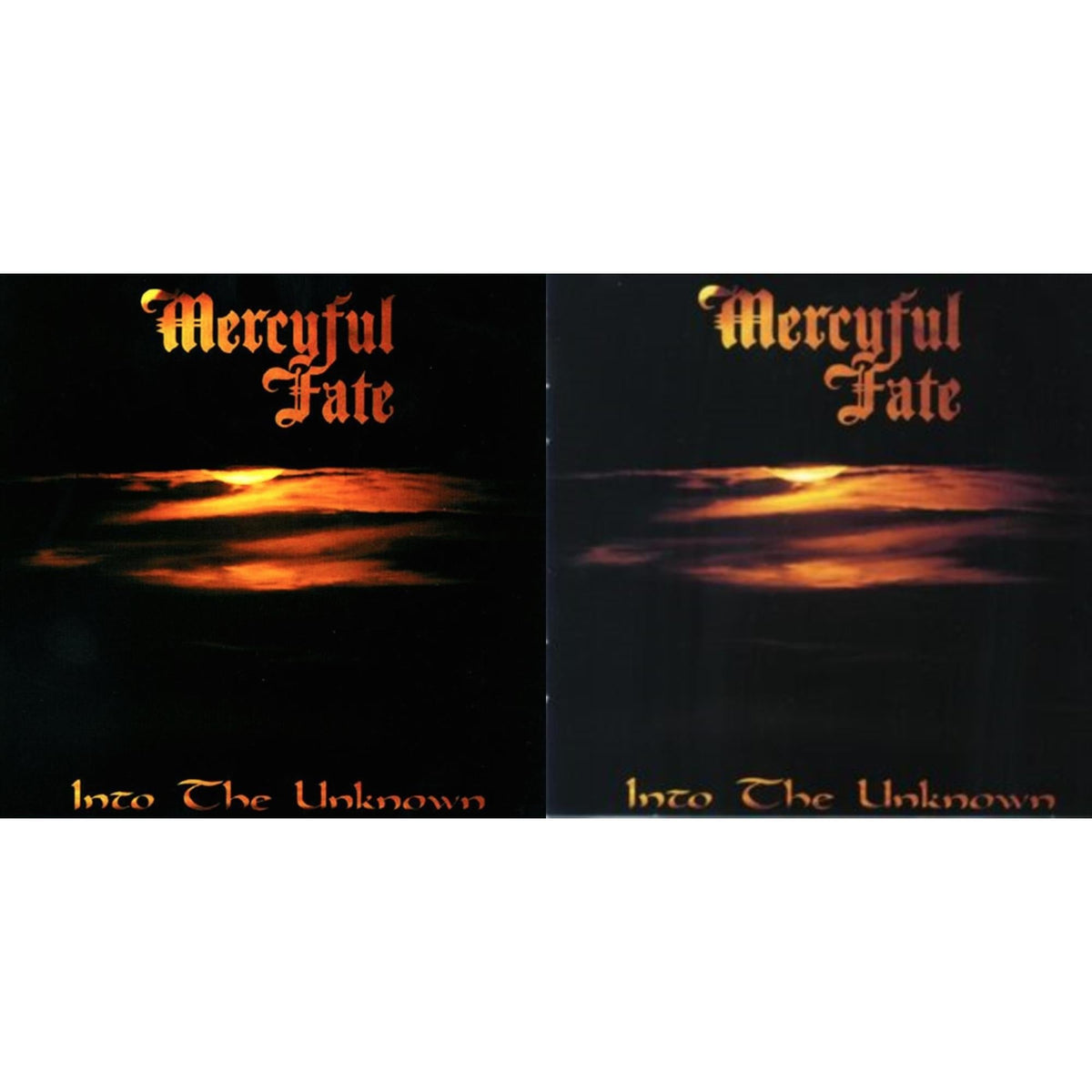 Into The Unknown (Grey/Black Marbled LP Vinyl) & Into The Unknown