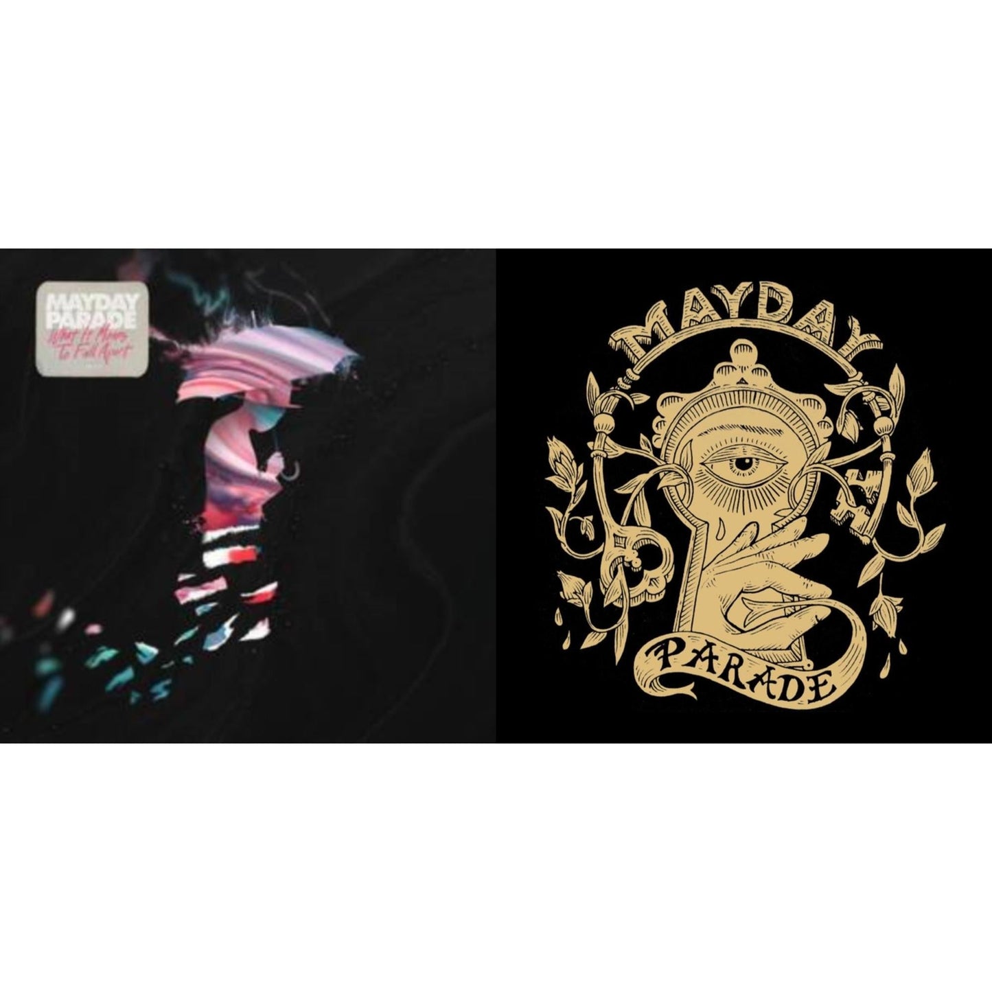 What It Means To Fall Apart (I) & Monster In The Closet (10Th Anniversary) (Orchid Vinyl/2LP)
