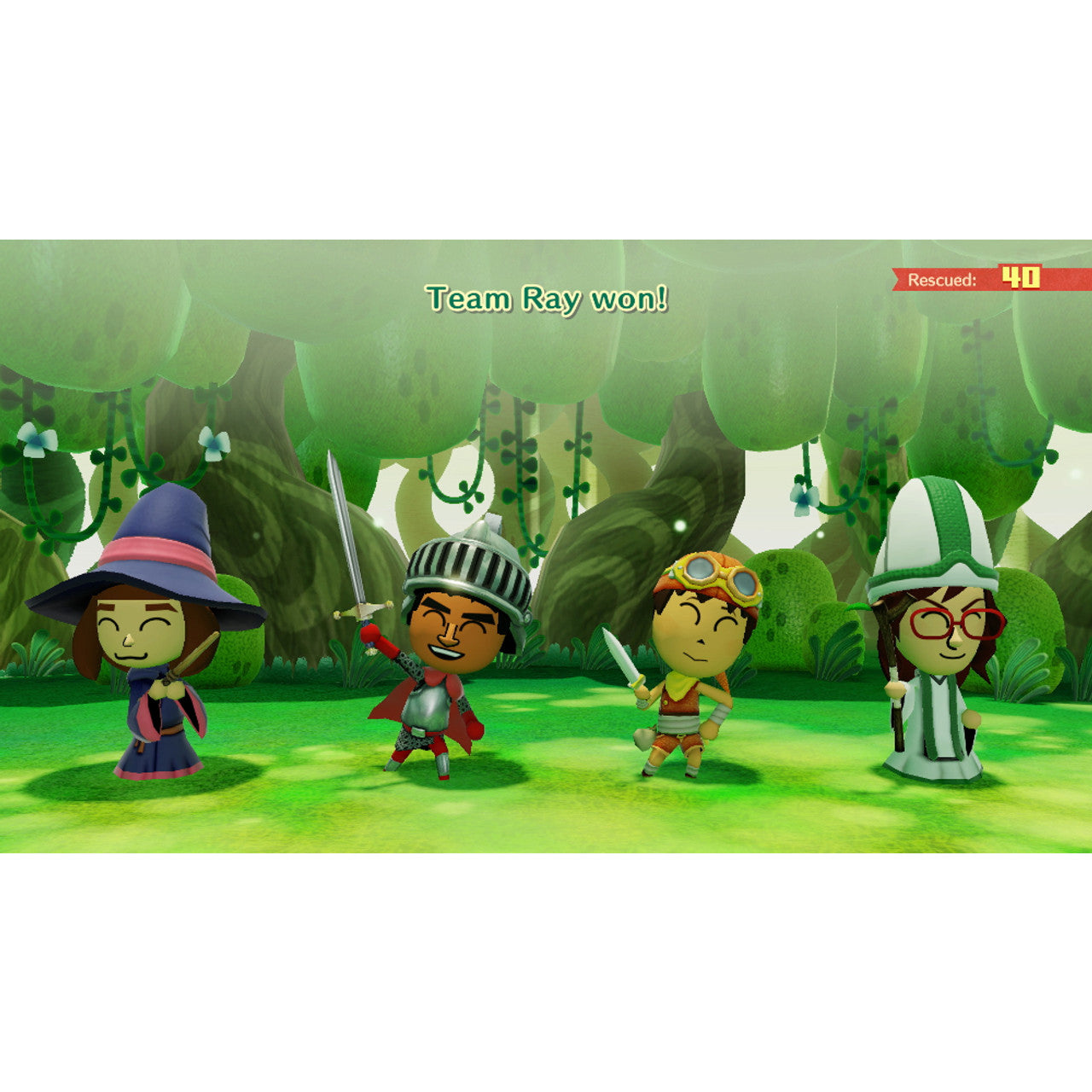 This is brand new.Star in your own adventure alongside…anyone! Choose Mii™ characters to cast as allies and enemies as you venture forth to bring down the face-stealing Dark Lord. Any Mii character you create can be used, and you can also add wigs and makeup to give your characters more…character.