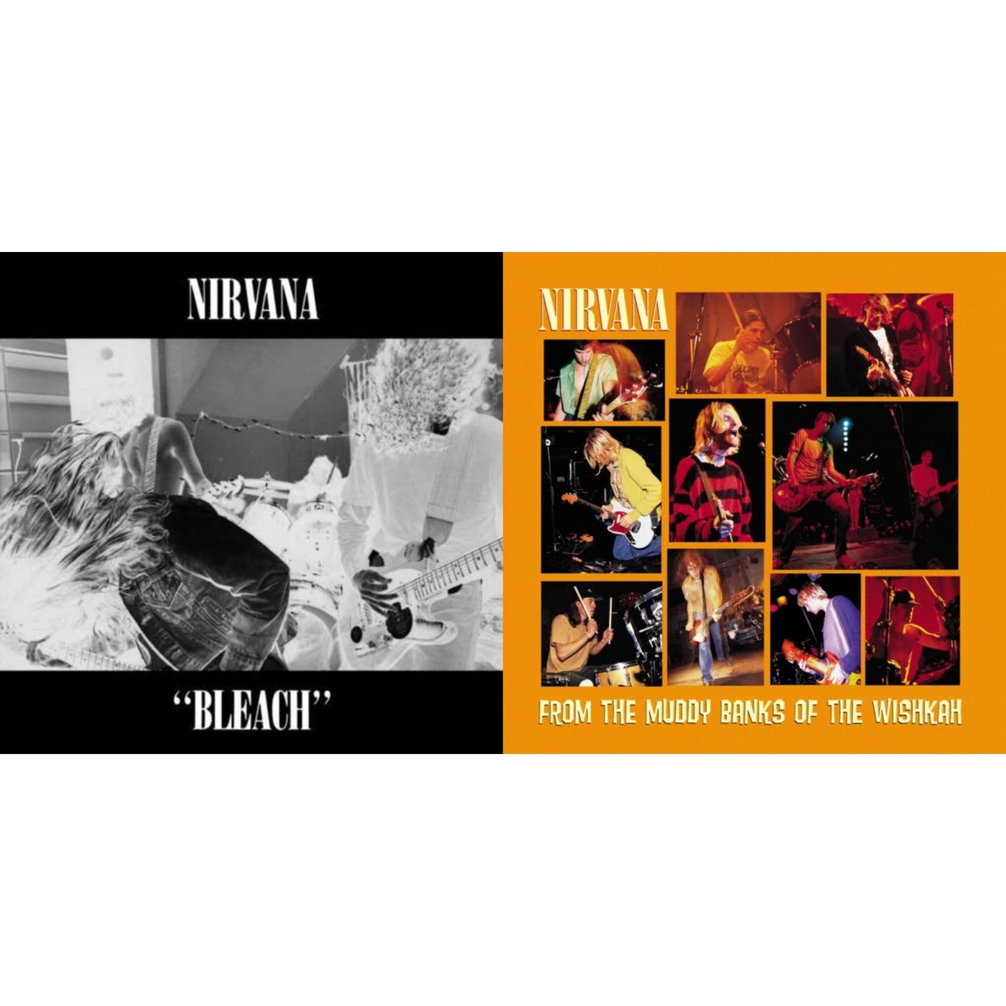 Bleach & From The Muddy Banks Of The Wishkah