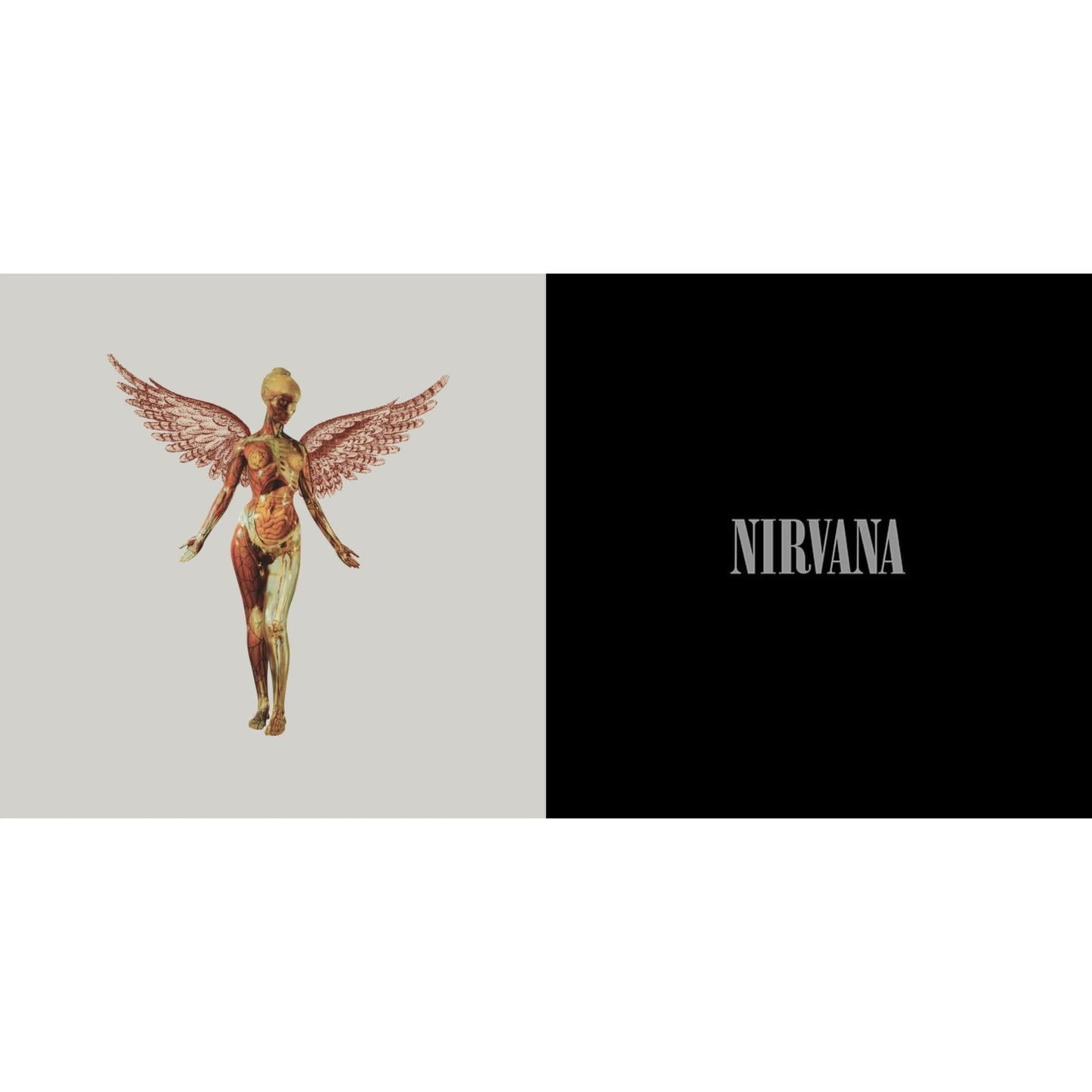 In Utero (30Th Anniversary) (8LP) & Nirvana (200G/45 RPM)