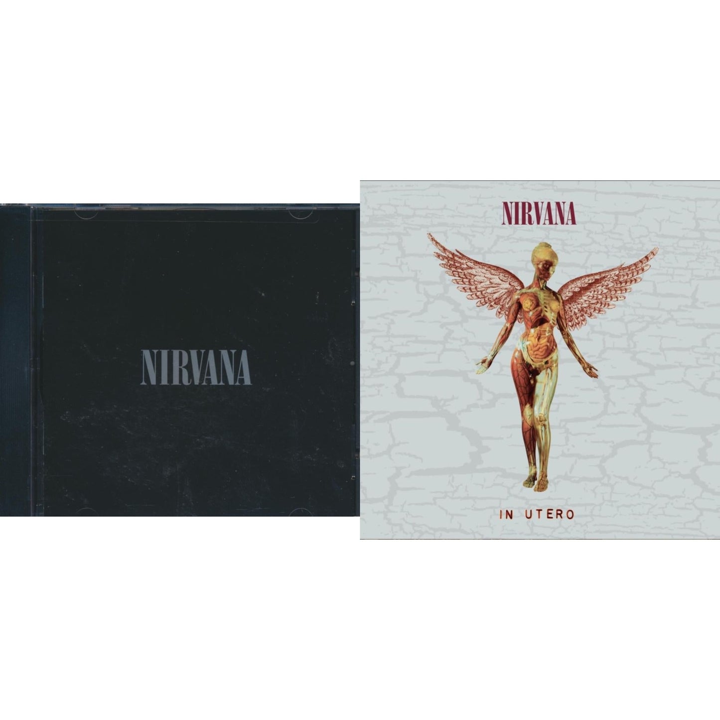 In Utero (30Th Anniversary) (2CD) & Nirvana