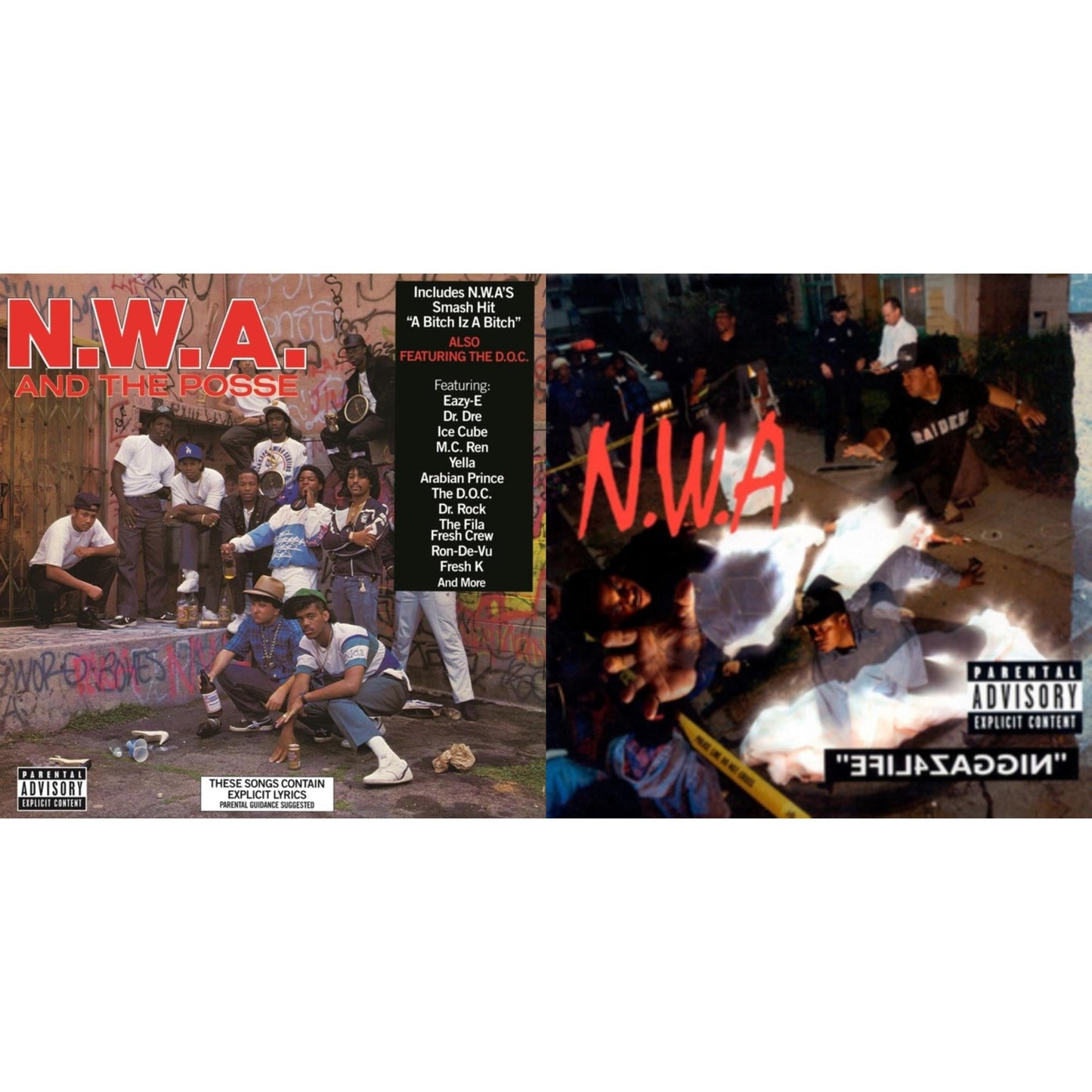 N.W.A. & The Posse (180G) & Niggaz4life (X)