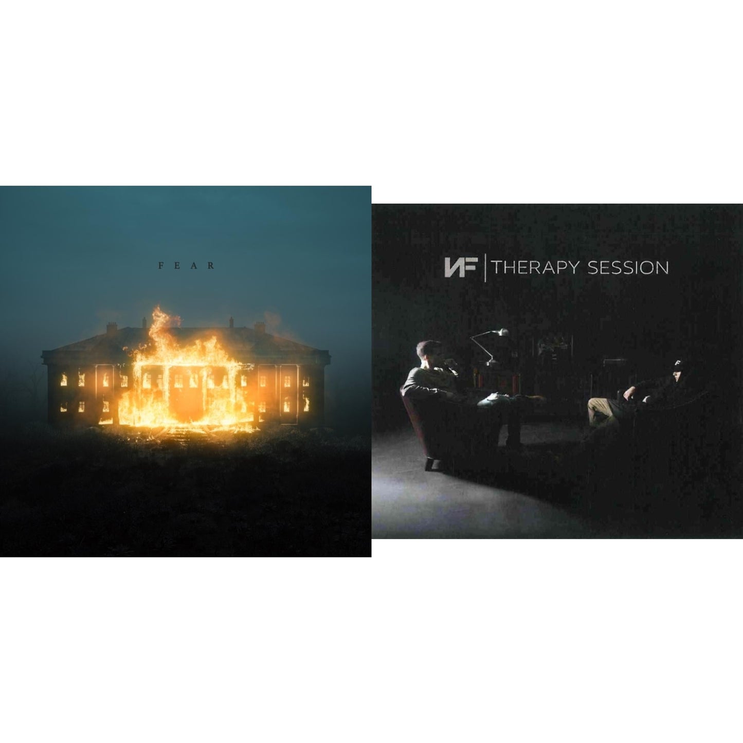 Fear & Therapy Session