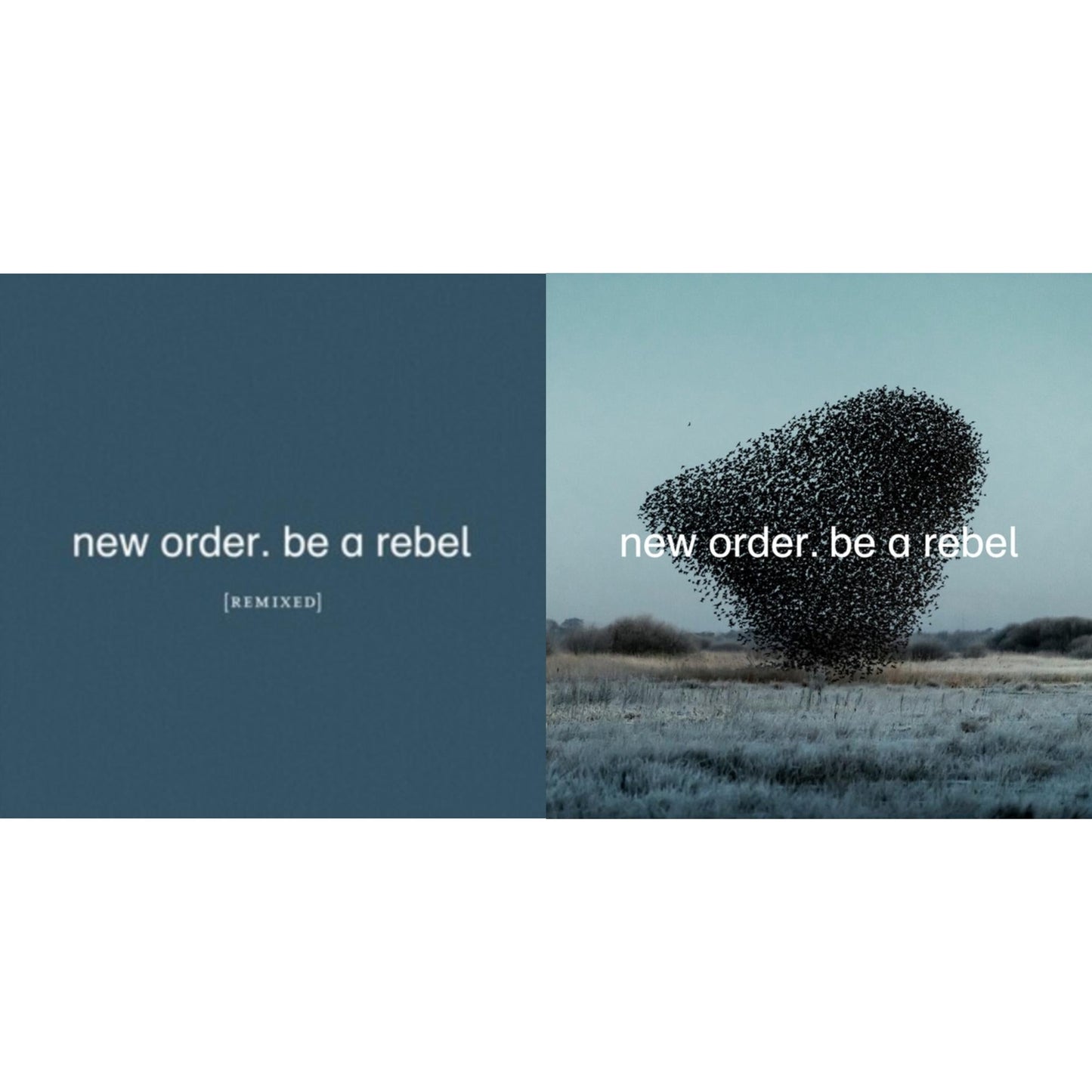 This is a 2 LP Vinyl SKU bundle.
1.This LP Vinyl is brand new.Format: LP VinylThis item's title is: Be A Rebel Remixed (Limited Edition/Clear LP Vinyl)Artist: New OrderLabel: MUTEBarcode: 5400863043919Release Date: 9/10/2021
2.This LP Vinyl is brand new.