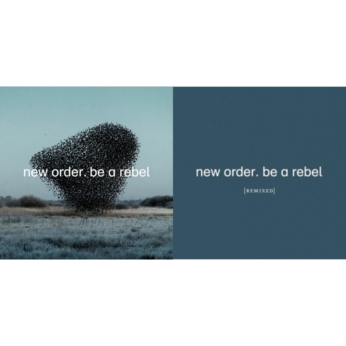 This is a 2 LP Vinyl SKU bundle.
1.This LP Vinyl is brand new.Format: LP VinylMusic Style: Synth-popThis item's title is: Be A RebelArtist: New OrderLabel: MUTEBarcode: 724596101735Release Date: 3/19/2021
2.This LP Vinyl is brand new.