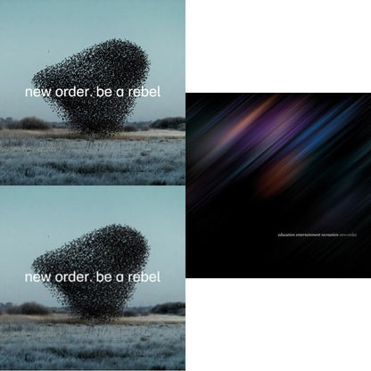 This is a 3 LP Vinyl SKU bundle.
1.This LP Vinyl is brand new.Format: LP VinylMusic Style: Synth-popThis item's title is: Be A RebelArtist: New OrderLabel: MUTEBarcode: 724596101735Release Date: 3/19/2021
2.This LP Vinyl is brand new.