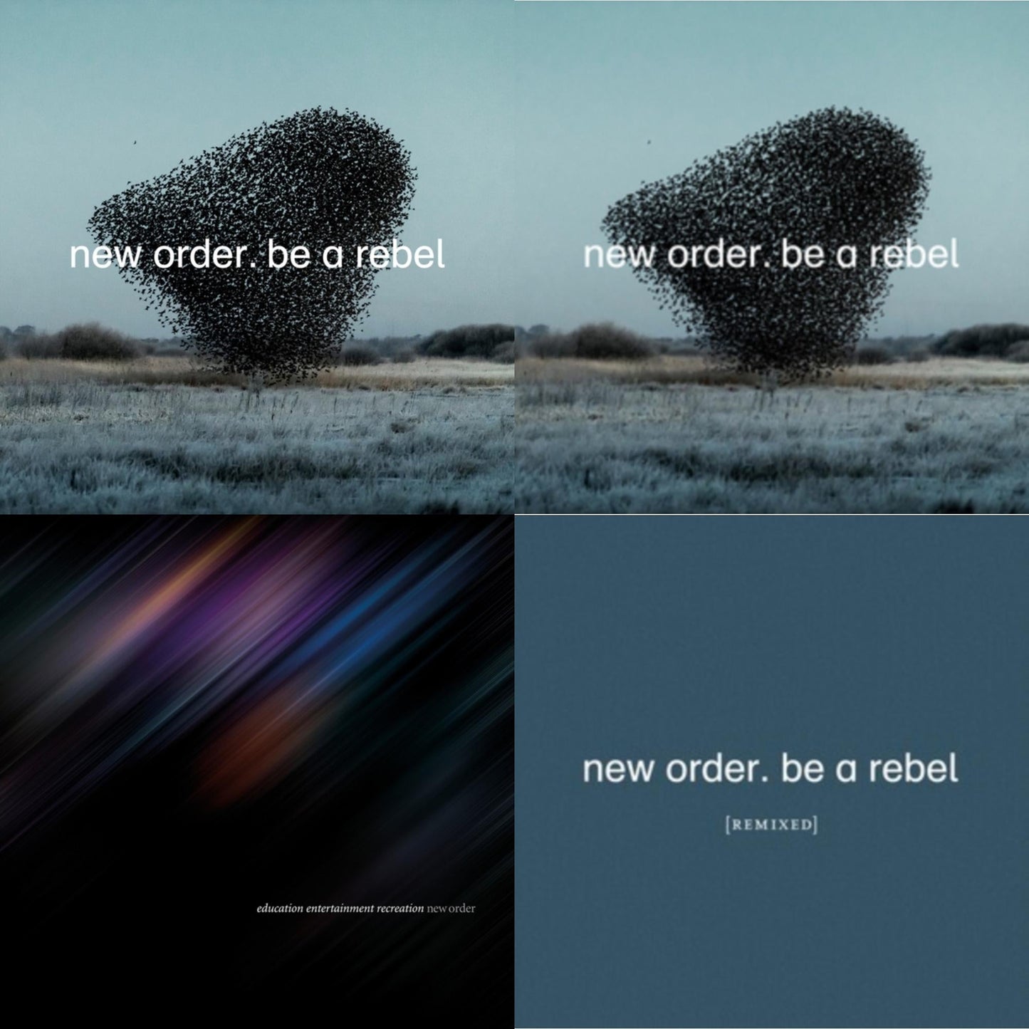 Education Entertainment Recreation (Live) & Be A Rebel Ep & Be A Rebel Remixed (Limited Edition/Clear LP Vinyl) & Be A Rebel