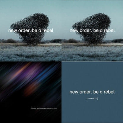 Education Entertainment Recreation (Live) & Be A Rebel Ep & Be A Rebel Remixed (Limited Edition/Clear LP Vinyl) & Be A Rebel