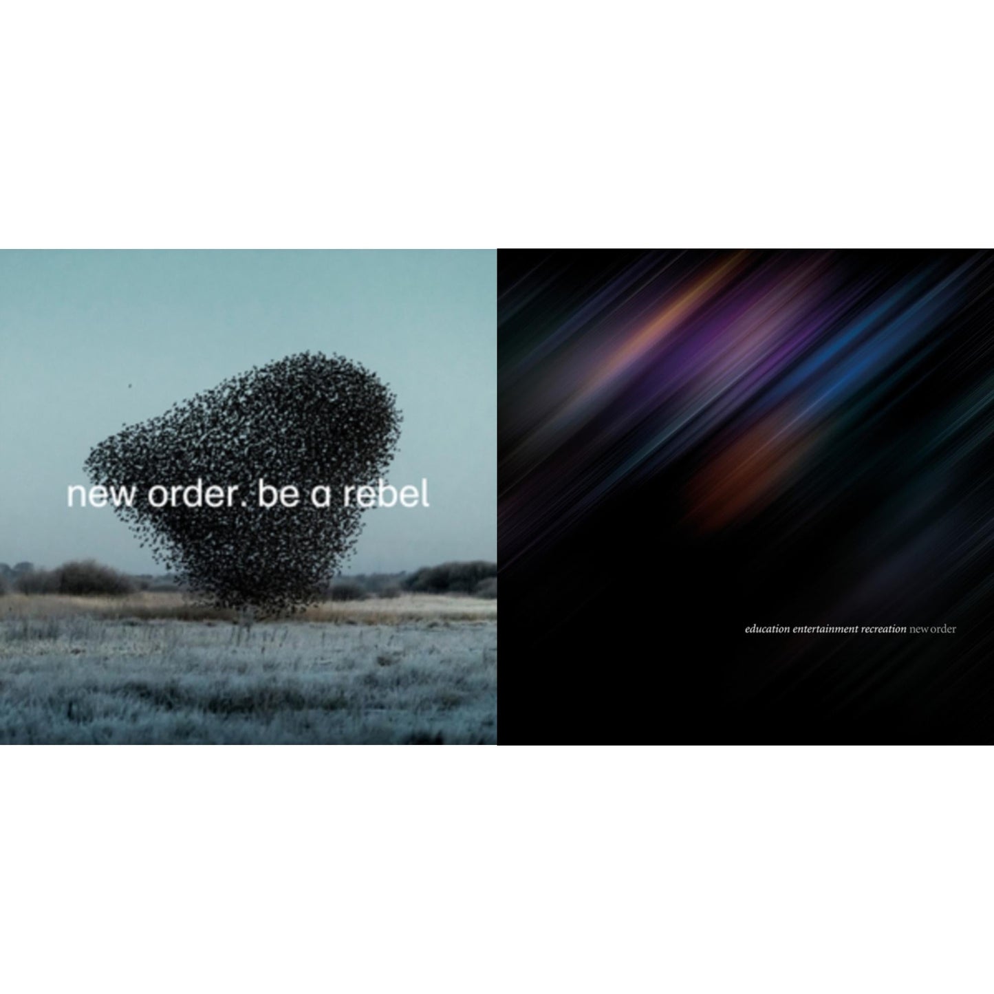 New Order - Education Entertainment Recreation (Live) & Be A Rebel Ep - LP Vinyl Bundle