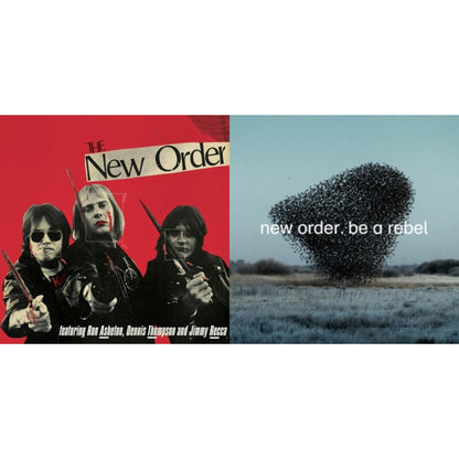 This is a 2 LP Vinyl SKU bundle.
1.This LP Vinyl is brand new.Format: LP VinylThis item's title is: New Order (Marble LP Vinyl)Artist: New OrderLabel: CLEOPATRABarcode: 889466422416Release Date: 9/29/2023
2.This LP Vinyl is brand new.