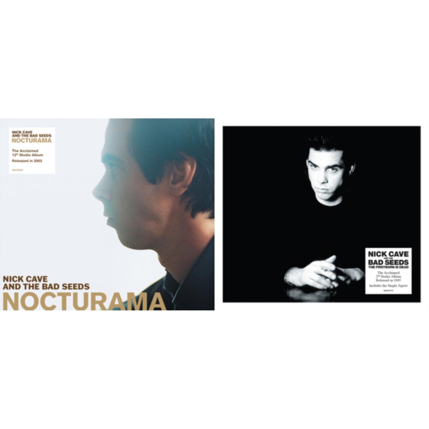 Nocturama & Firstborn Is Dead