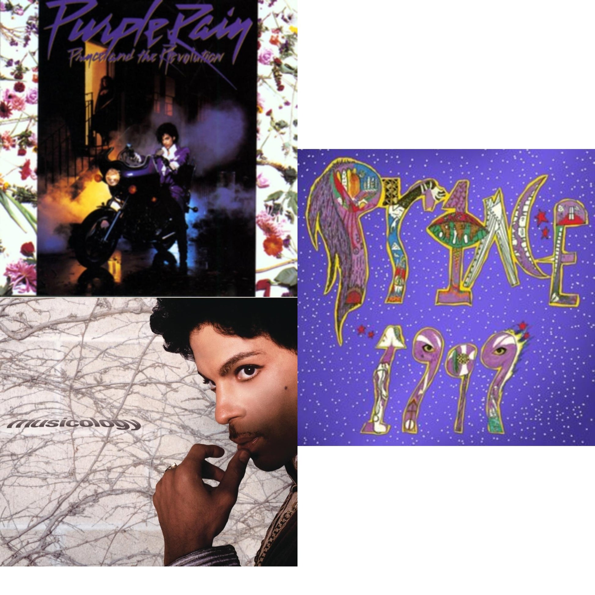 This is a 3 CD SKU bundle.
1.This CD is brand new.Format: CDMusic Style: SoundtrackThis item's title is: Purple RainArtist: PrinceLabel: WARNER BROTHERSBarcode: 075992511025Release Date: 8/10/1984
2.This CD is brand new.