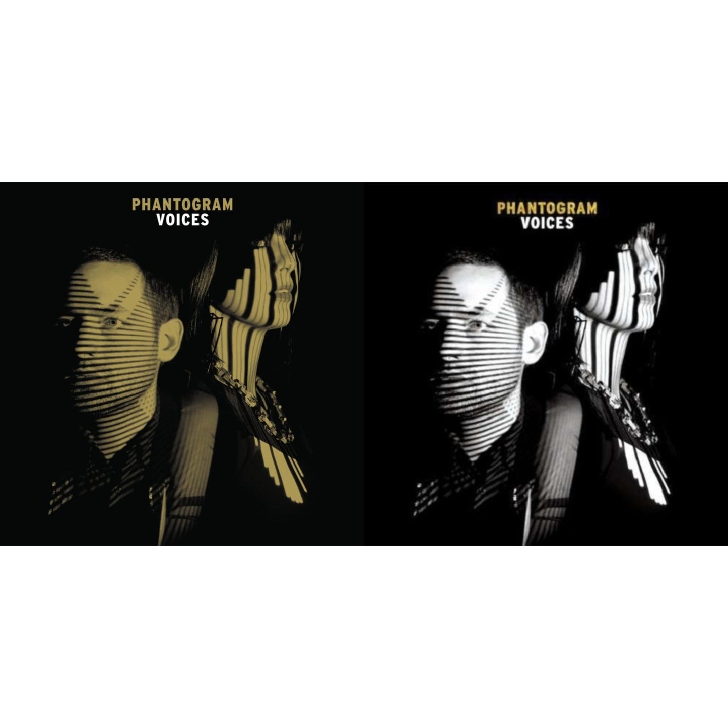 Voices (Gold Galaxy Vinyl/2LP) & Voices