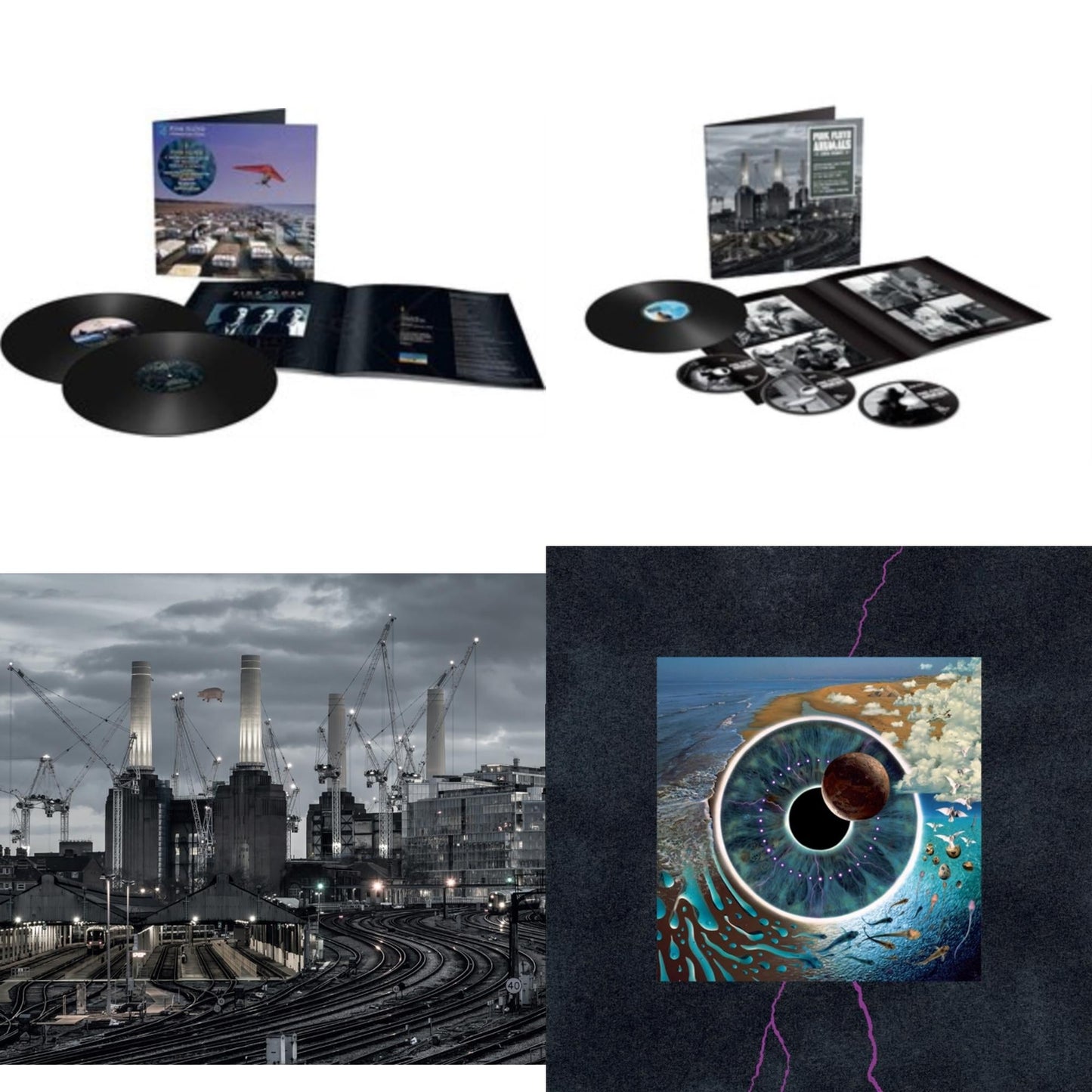 Momentary Lapse Of Reason (Remixed & Updated) (2LP/180G) & Animals (2018 Remix) (LP/CD/DVD/Blu-Ray/180G) & Animals (2018 Remix) (180G/LP/CD/Blu-Ray/DVD) & Pulse (180G/4LP/52 Pp Book)