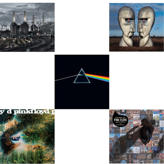 Animals (2018 Remix) (180G) & Saucerful Of Secrets (Mono/180G) & Dark Side Of The Moon (50Th Anniversary Remaster) & Division Bell (180G/2016 Version/Gatefold) & Best Of Pink Floyd: A Foot In Door (2LP/180G Vinyl)