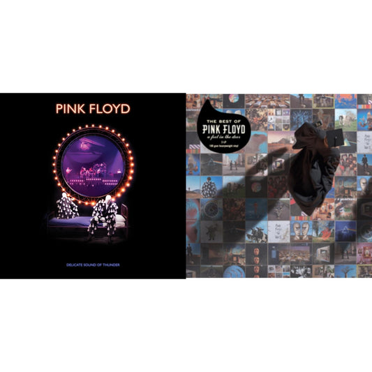 Delicate Sound Of Thunder (3LP) & Best Of Pink Floyd: A Foot In Door (2LP/180G Vinyl)
